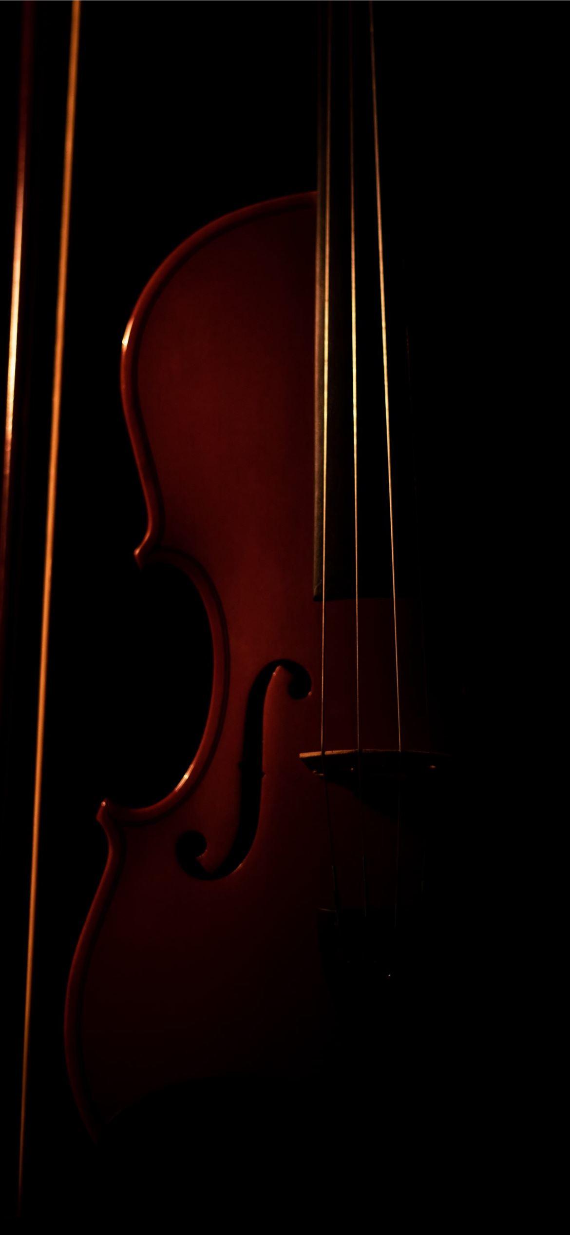 Double Bass Wallpapers - Top Free Double Bass Backgrounds - WallpaperAccess