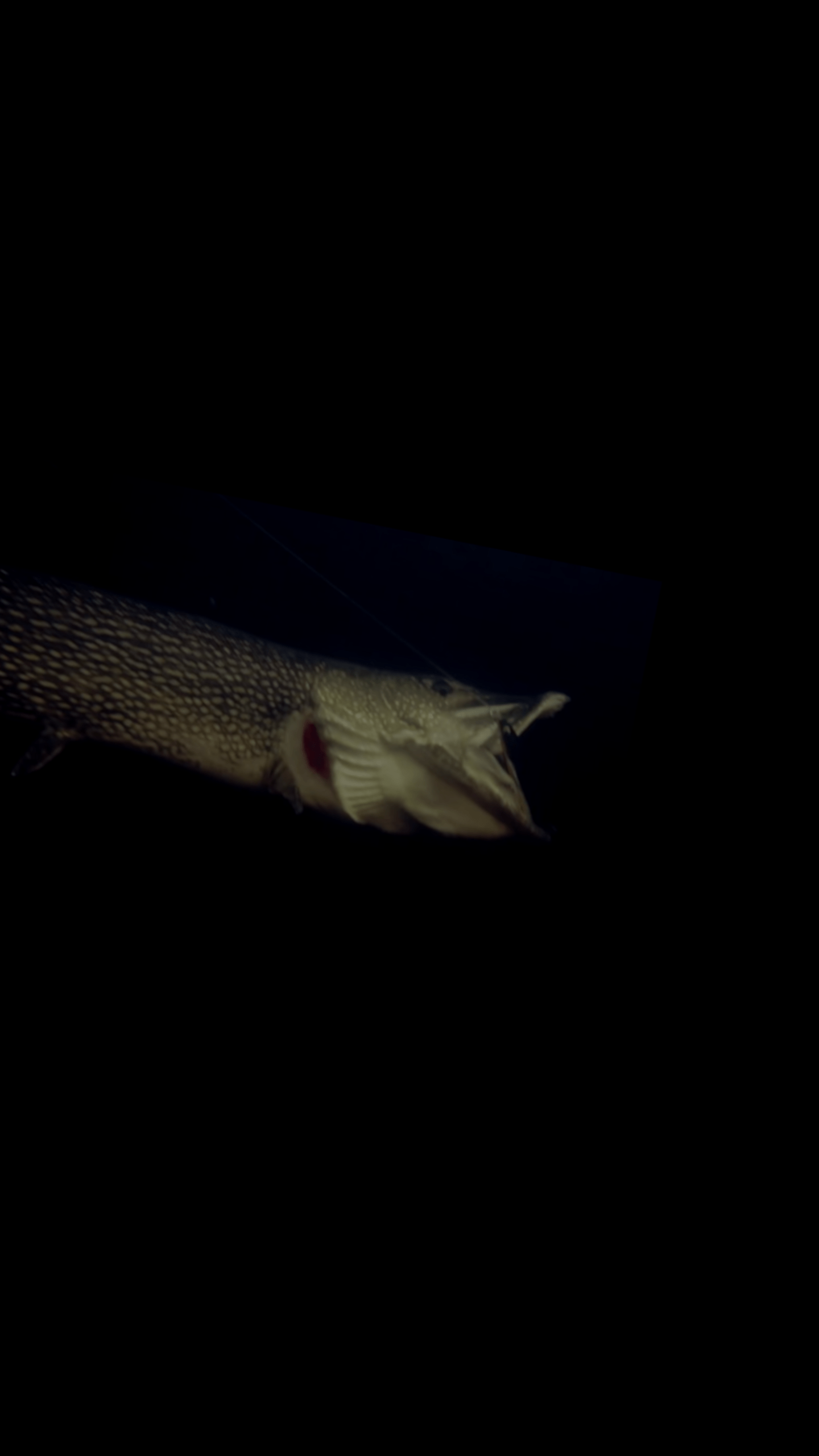 1440x2560 Dark theme pike phone wallpaper I made!