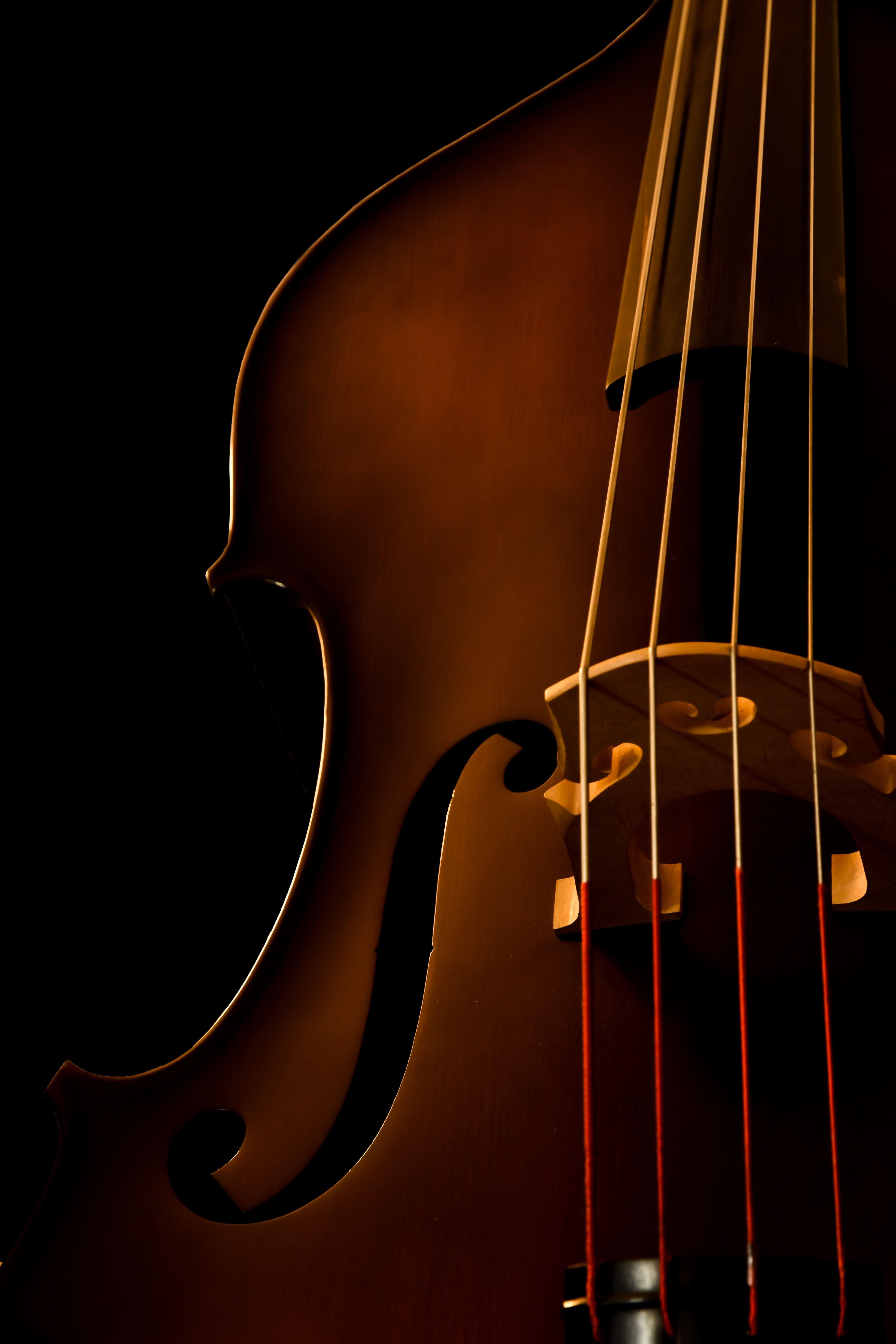 Double Bass Wallpapers - Top Free Double Bass Backgrounds - WallpaperAccess
