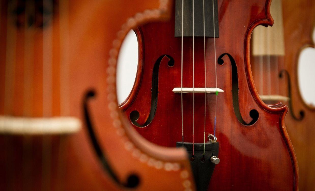 1238x750 Wallpaper Violin, Viola, String Instrument, Double Bass, Cello, Background Free Image