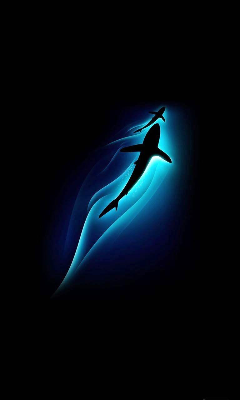768x1280 Best HD BlackBerry Z10 Wallpaper. dezignHD. Shark wallpaper iphone, Mobile wallpaper, iPhone wallpaper image