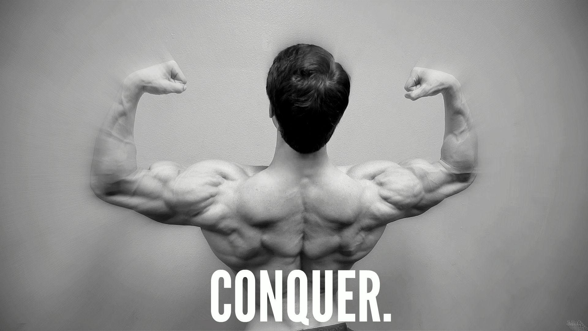 Jeff Seid Wallpapers - Top Free Jeff Seid Backgrounds - WallpaperAccess