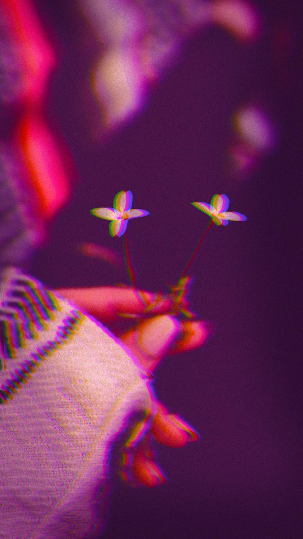 980x1741 The ULTIMATE collection of aesthetic phone wallpaper / lock screens (iPhone & Android )