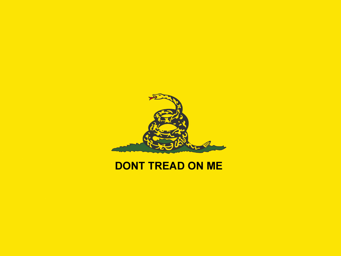 1152x864 Don't Tread On Me Wallpaper