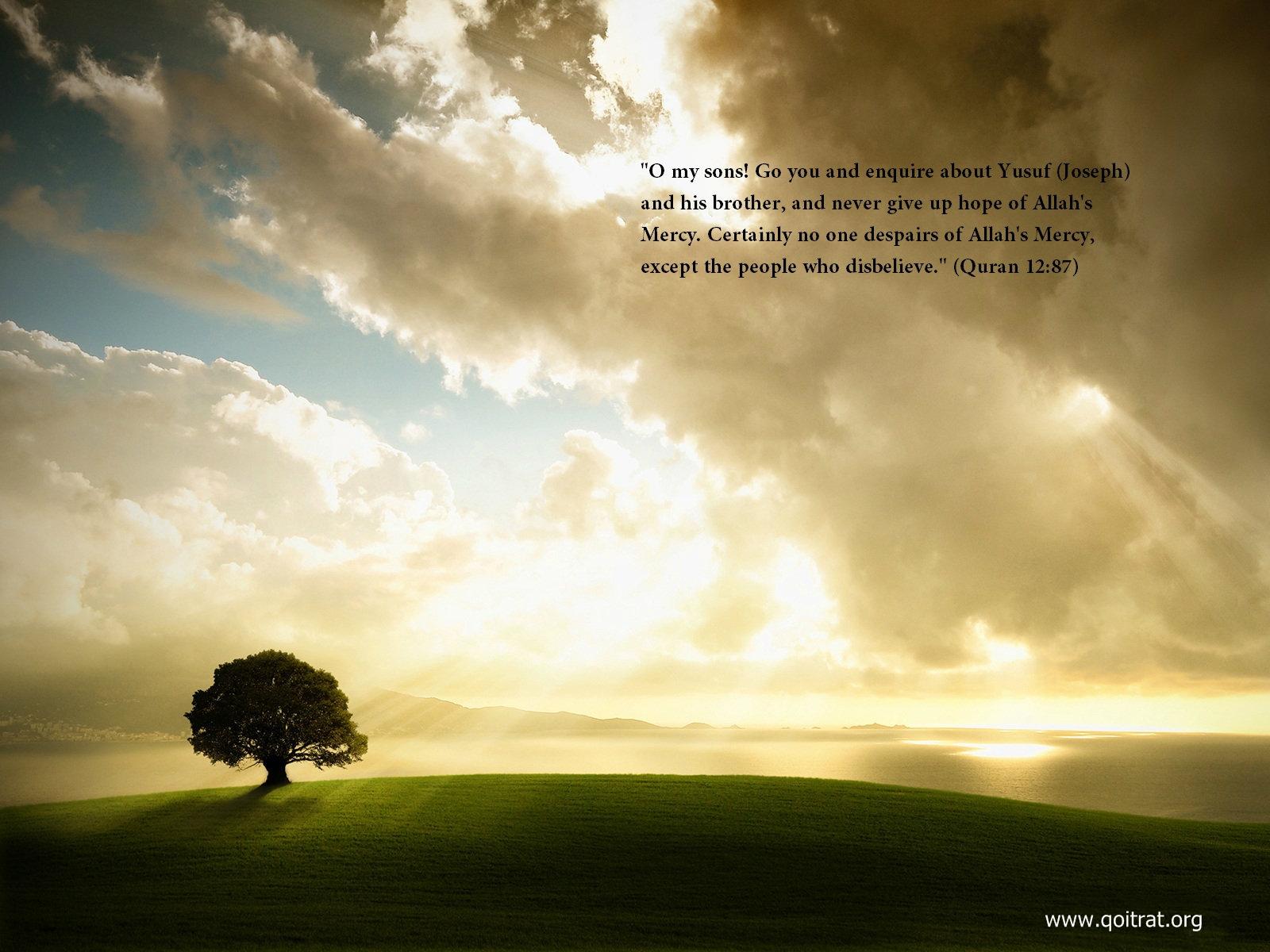 1600x1200 quran verses wallpaper, text, font, organism, yellow, line