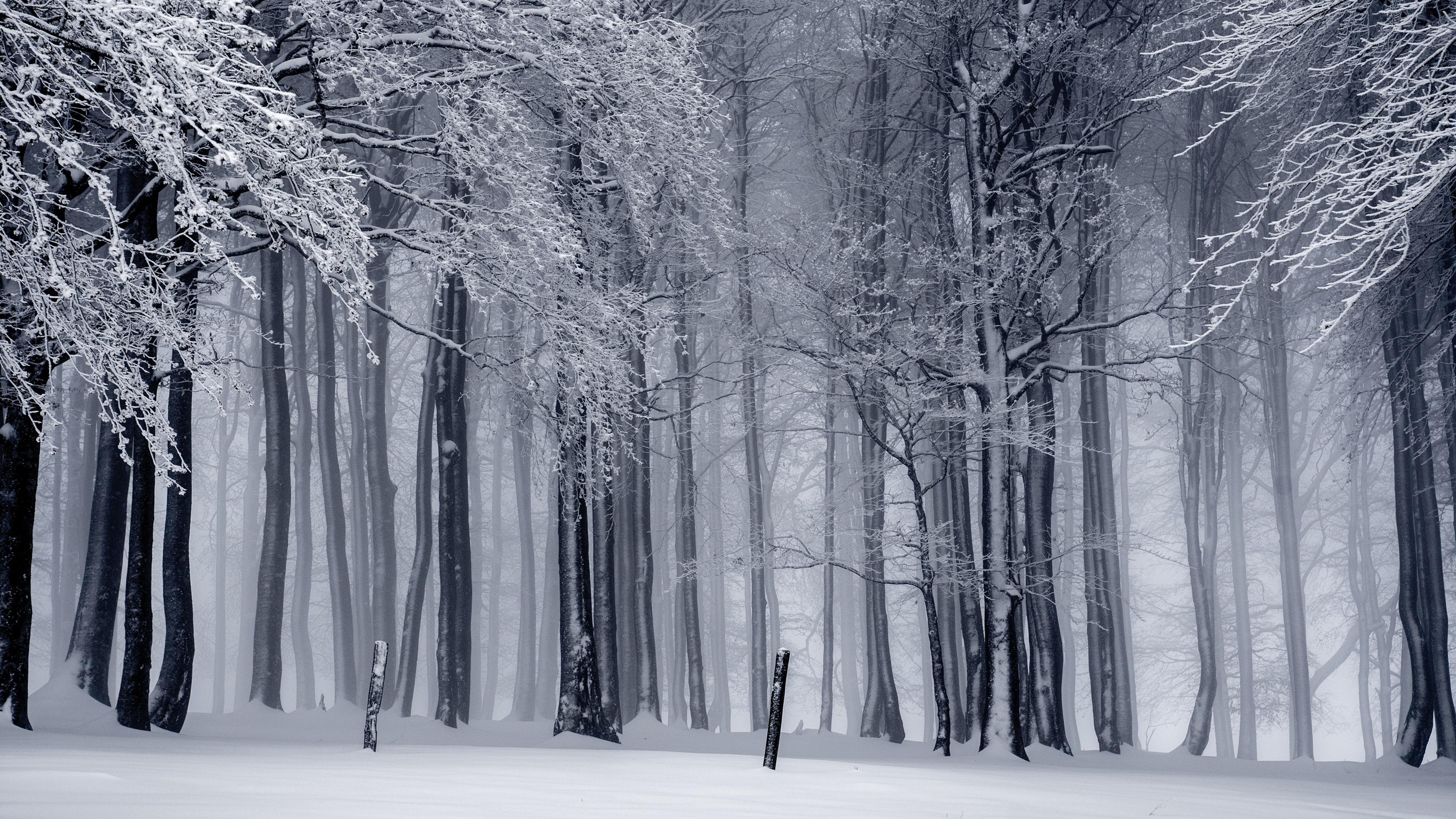 3840x2160 4K Winter Wallpaper for Desktop, iPad & iPhone