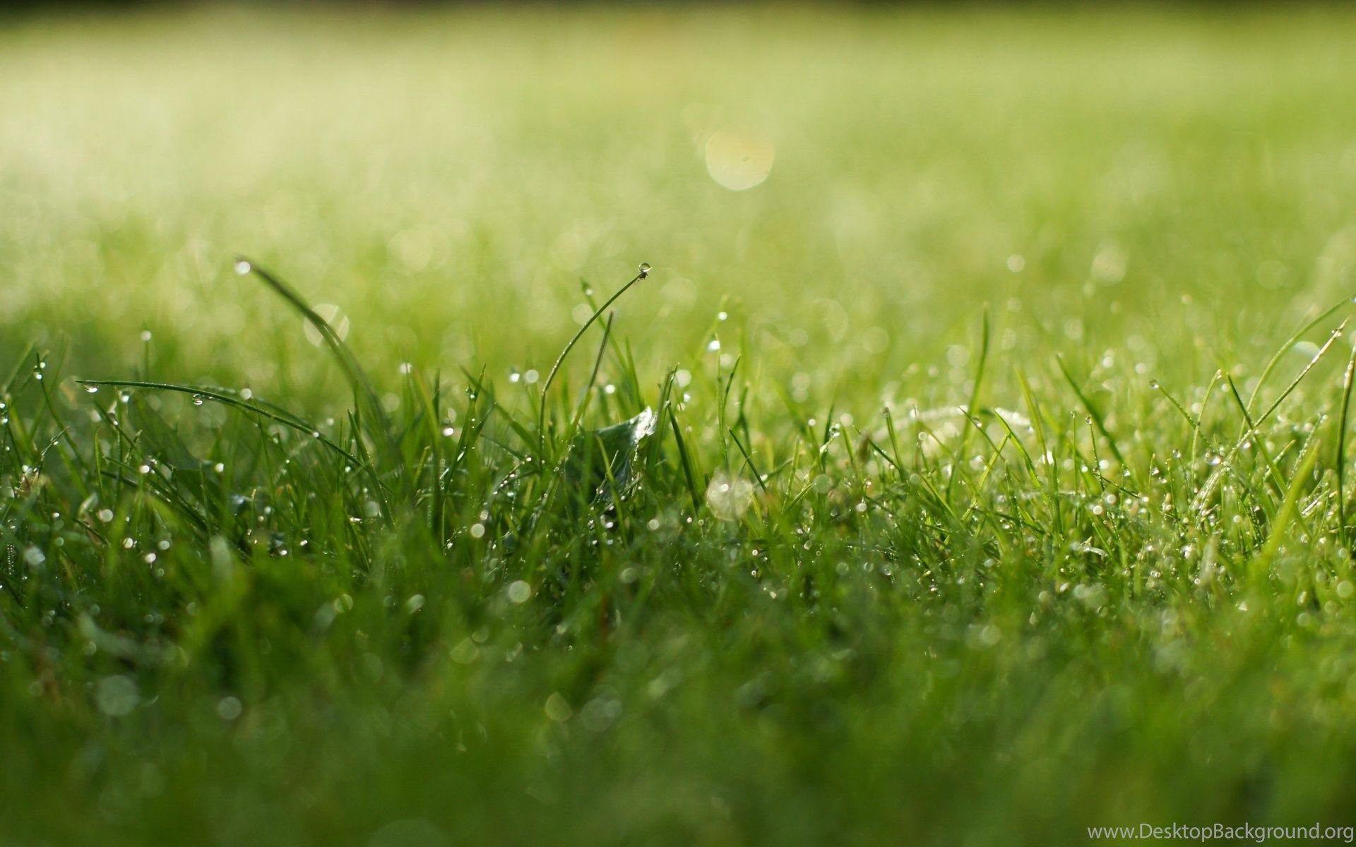 1920x1200 Super Aesthetic Green Wallpaper_High Definition Wallpaper