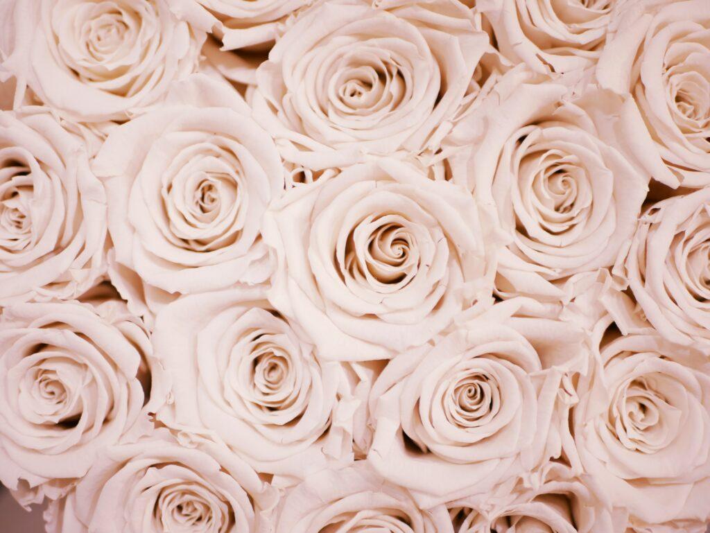 1024x769 Rose Gold Wallpaper