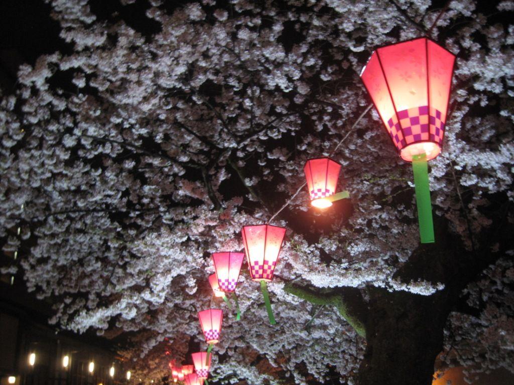 1024x768 japanese light festival Hope for the Future