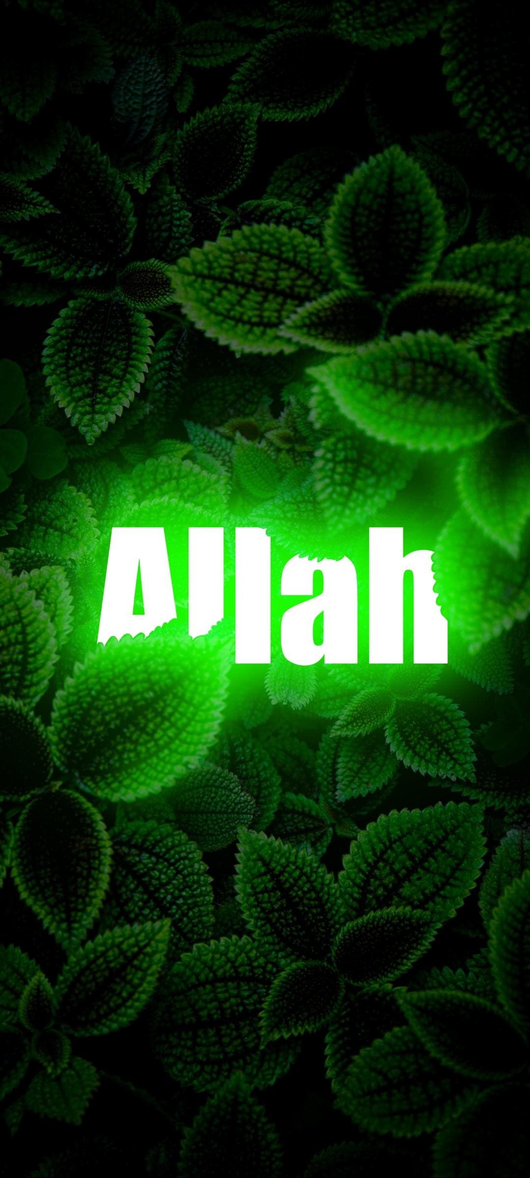 1080x2400 Allah Name Wallpaper