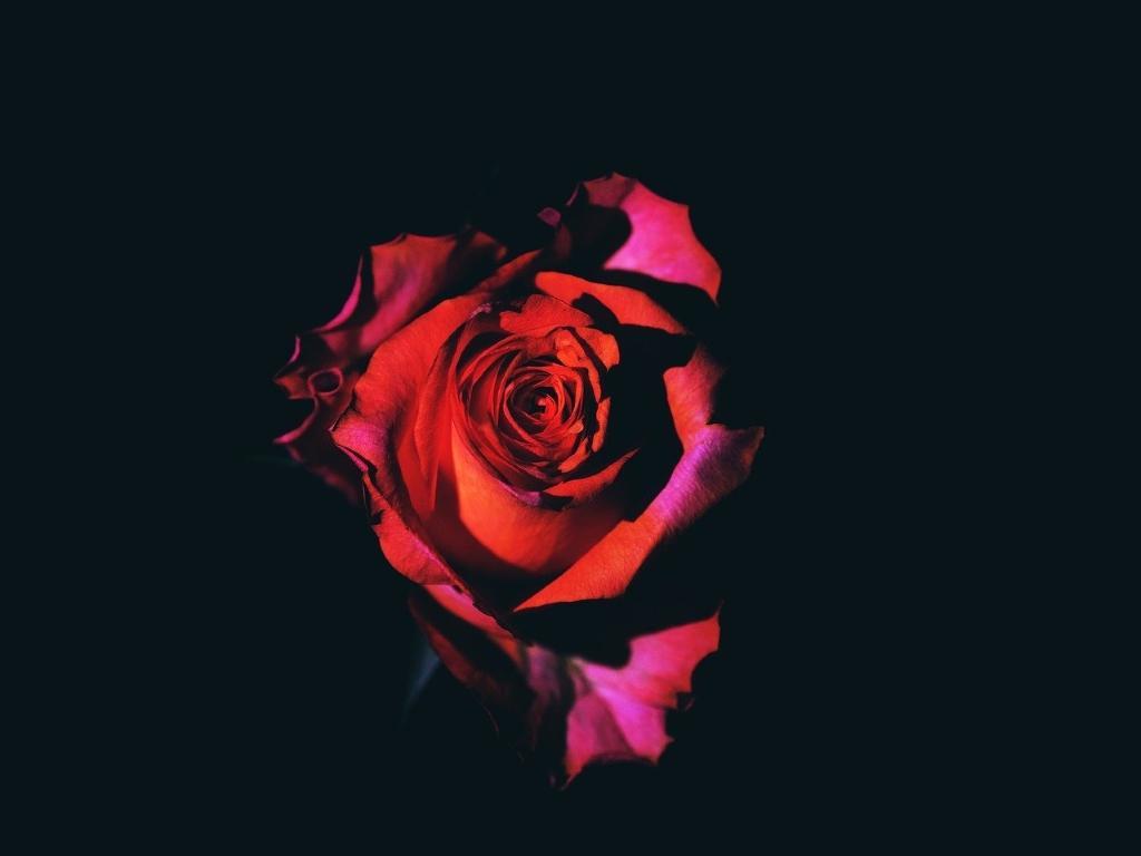 1024x768 Working with Persephone as a Bipolar Trauma Survivor