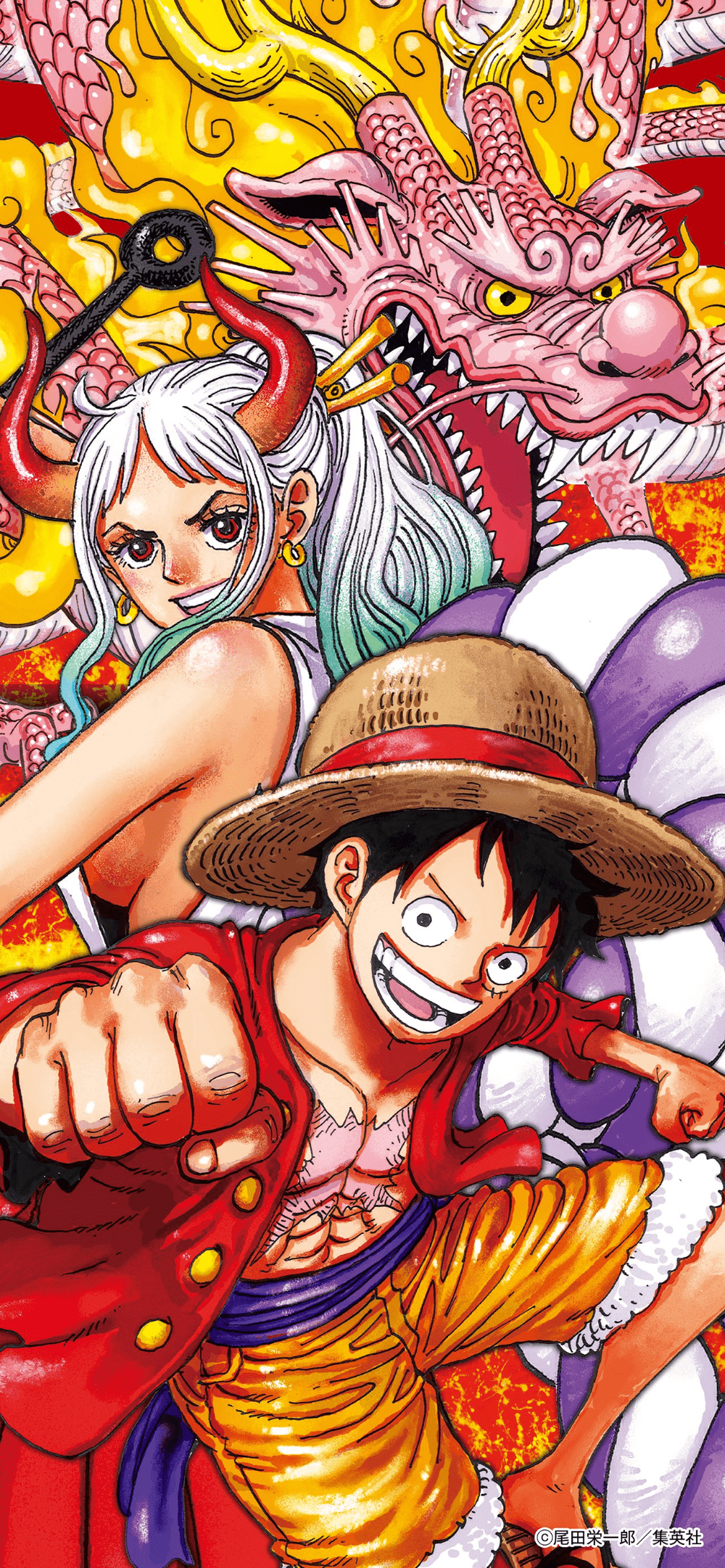 1000x2163 Inicio. One piece manga, One piece luffy, Manga covers