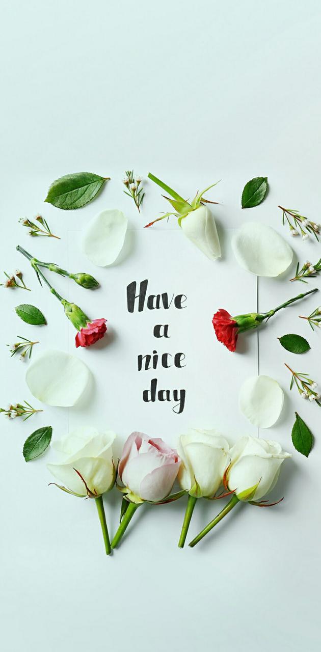 630x1280 Have a nice day wallpaper