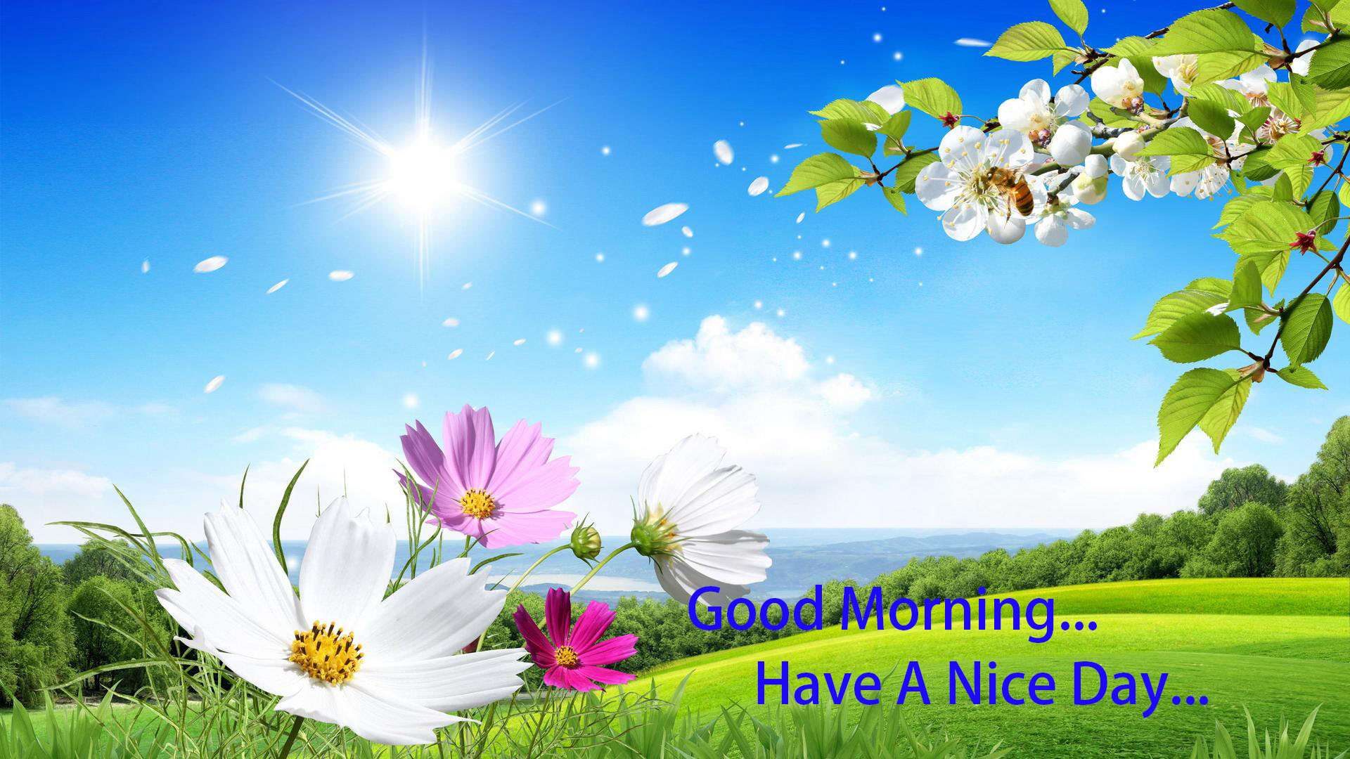 1920x1080 Good Morning Have A Nice Day Wallpaperto5animations.com Wallpaper, Gifs, Background, Image