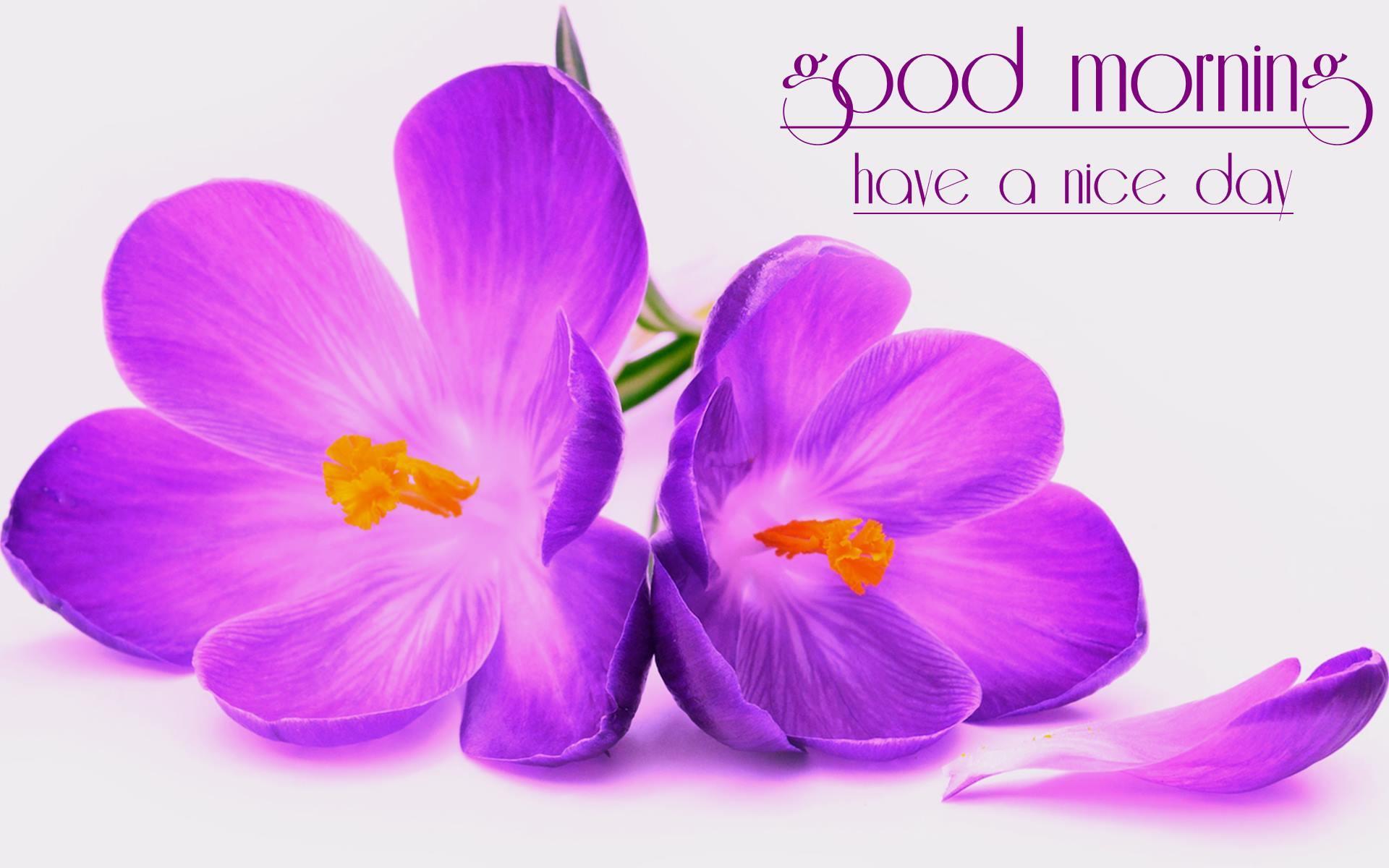 1920x1200 Have A Nice Day HD