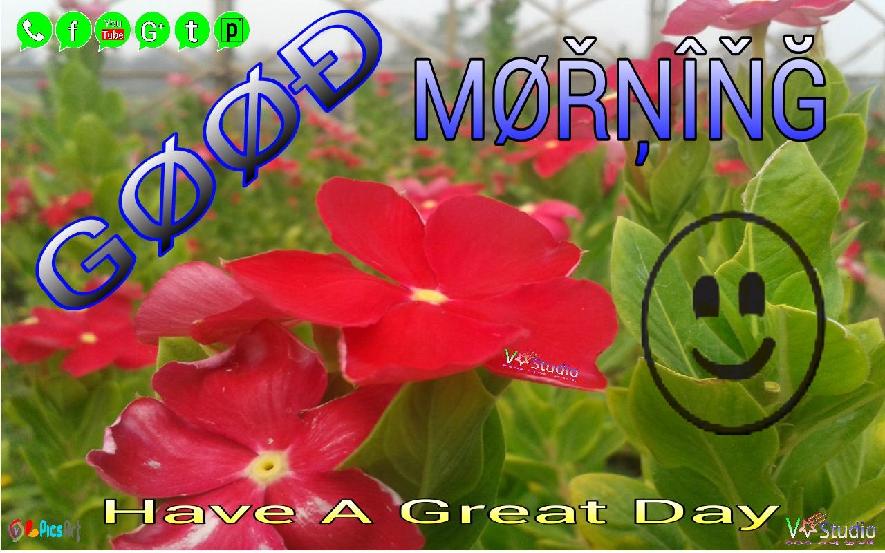 1280x800 Good Morning Have a nice day