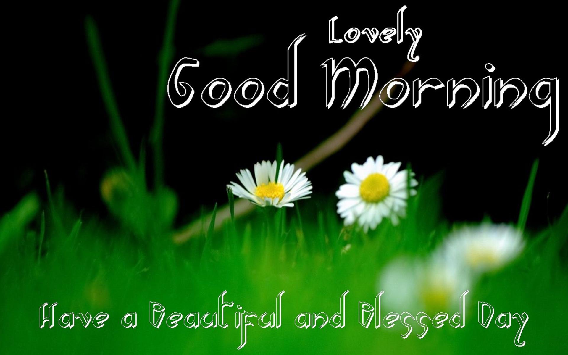 1920x1200 Free download Good morning have a nice day wishes HD Wallpaper Rocks [1920x1200] for your Desktop, Mobile & Tablet. Explore Have A Day Wallpaper. Free Memorial Day Wallpaper, Happy