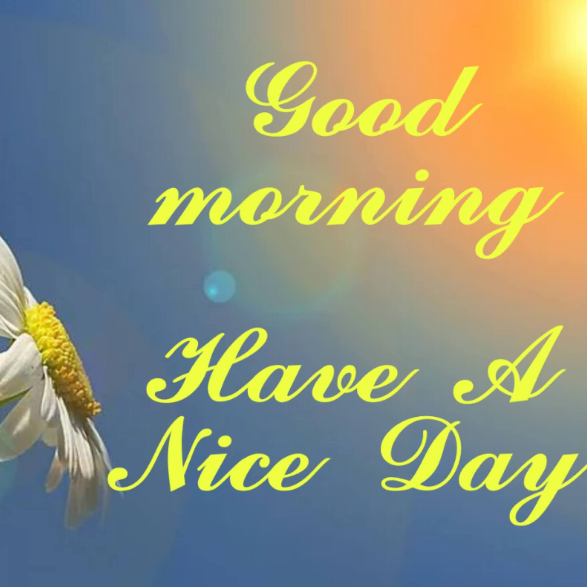 2048x2048 good morning have a nice day image wishes image