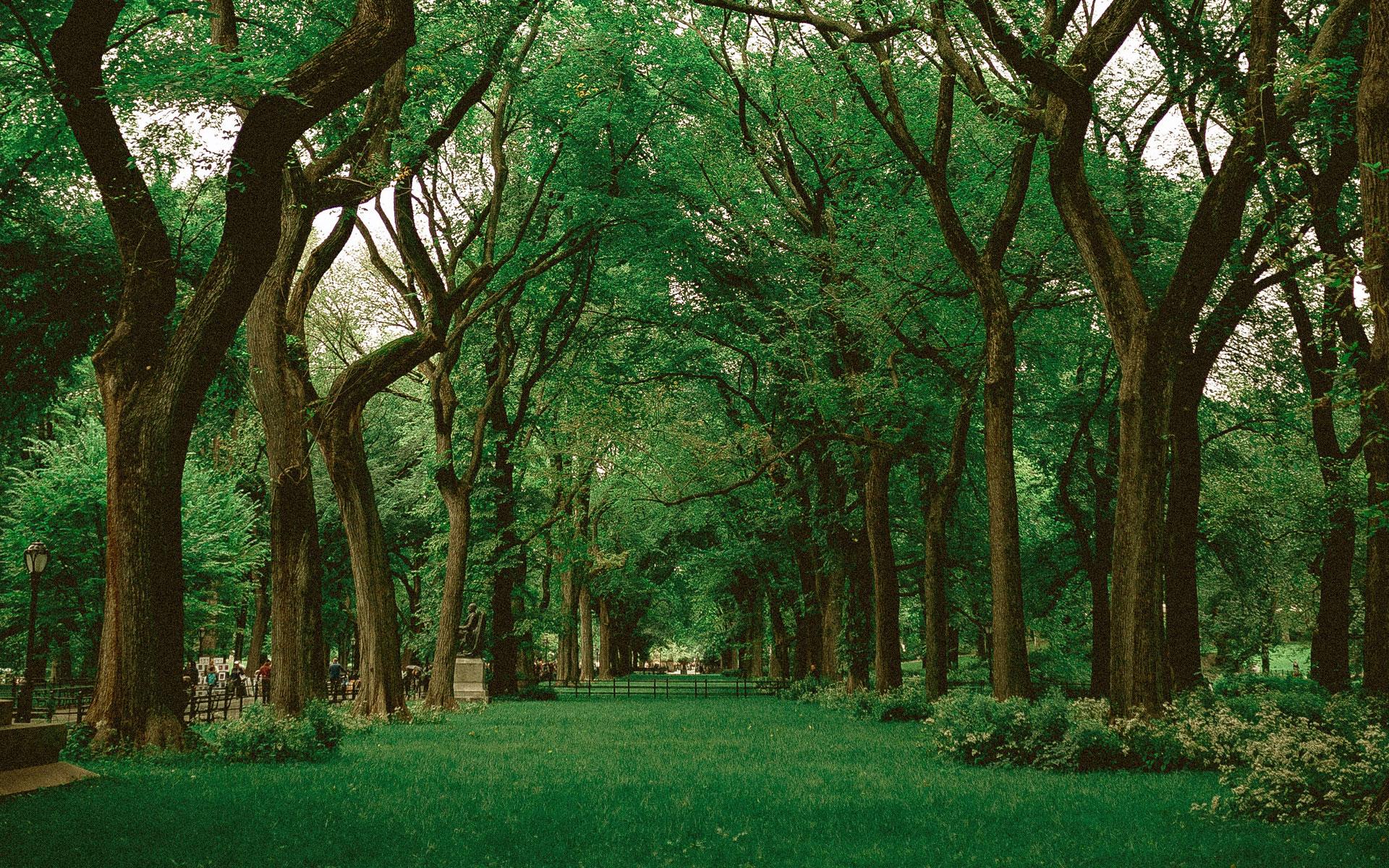 1920x1200 CANCELLED: 2020 Annual Meeting Savannah, Georgia Sustainability Directors Network