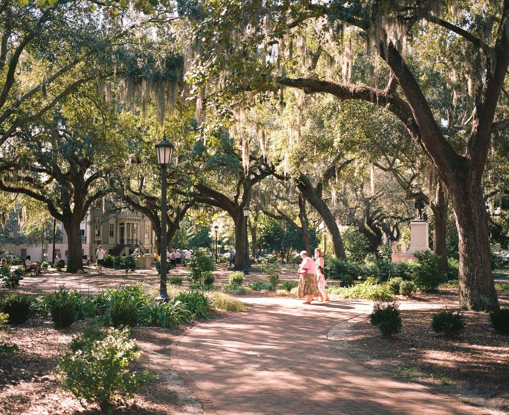 1000x816 Savannah Georgia Picture. Download Free Image