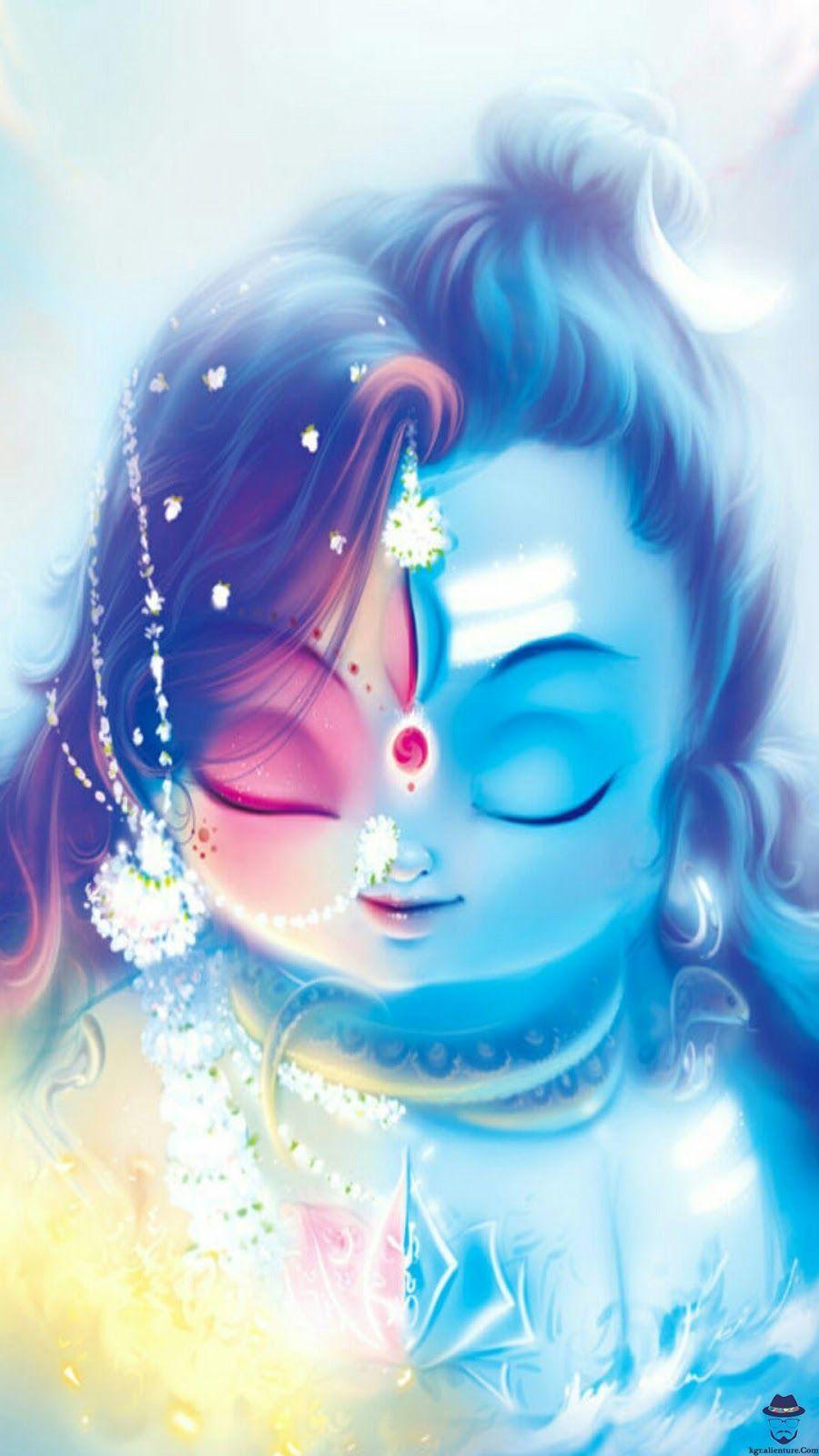 900x1600 Ardhanarishvara HD Wallpaper