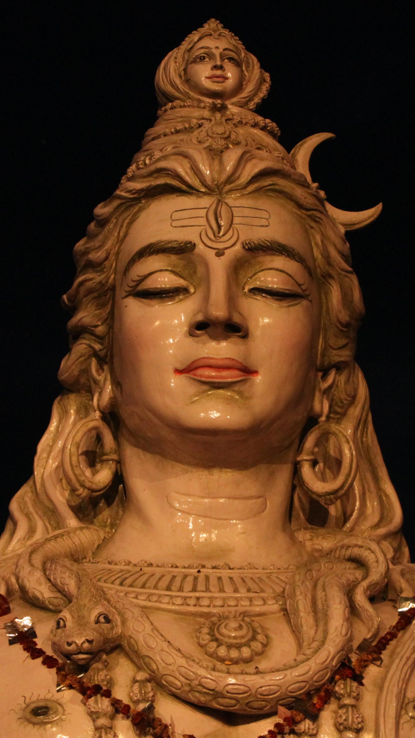 1440x2560 Lord Shiva Wallpaper 13112