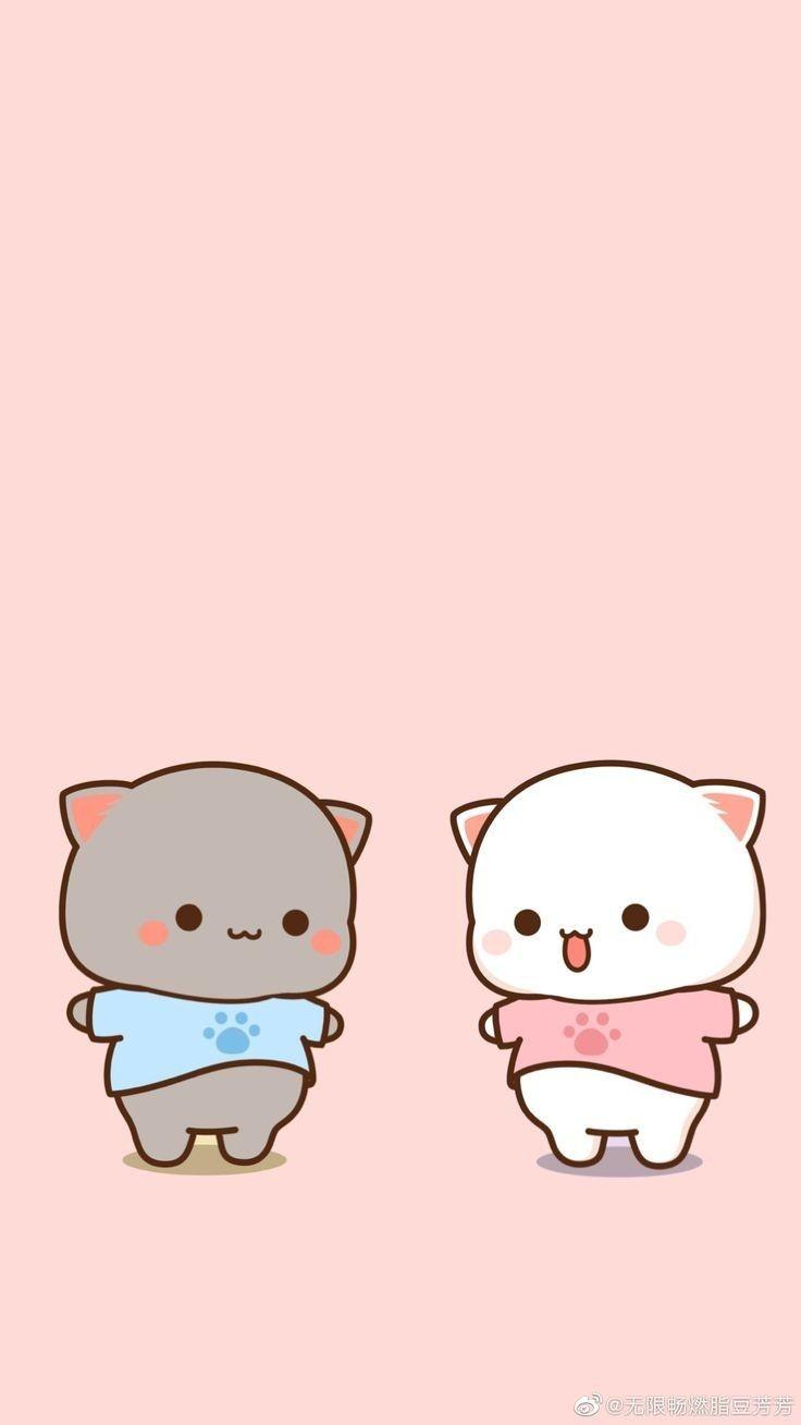 736x1308 Mochi Peach Cat ideas. chibi cat, cute cartoon image, cute drawings