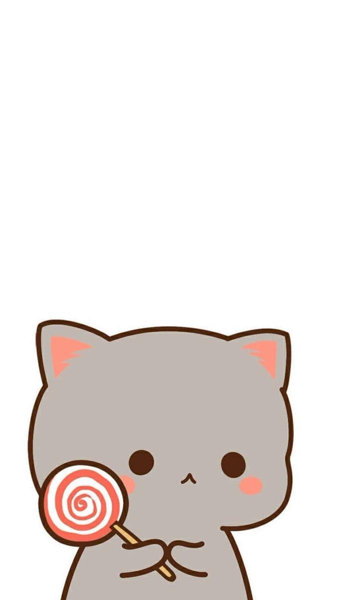 675x1200 Peach Cats Wallpaper