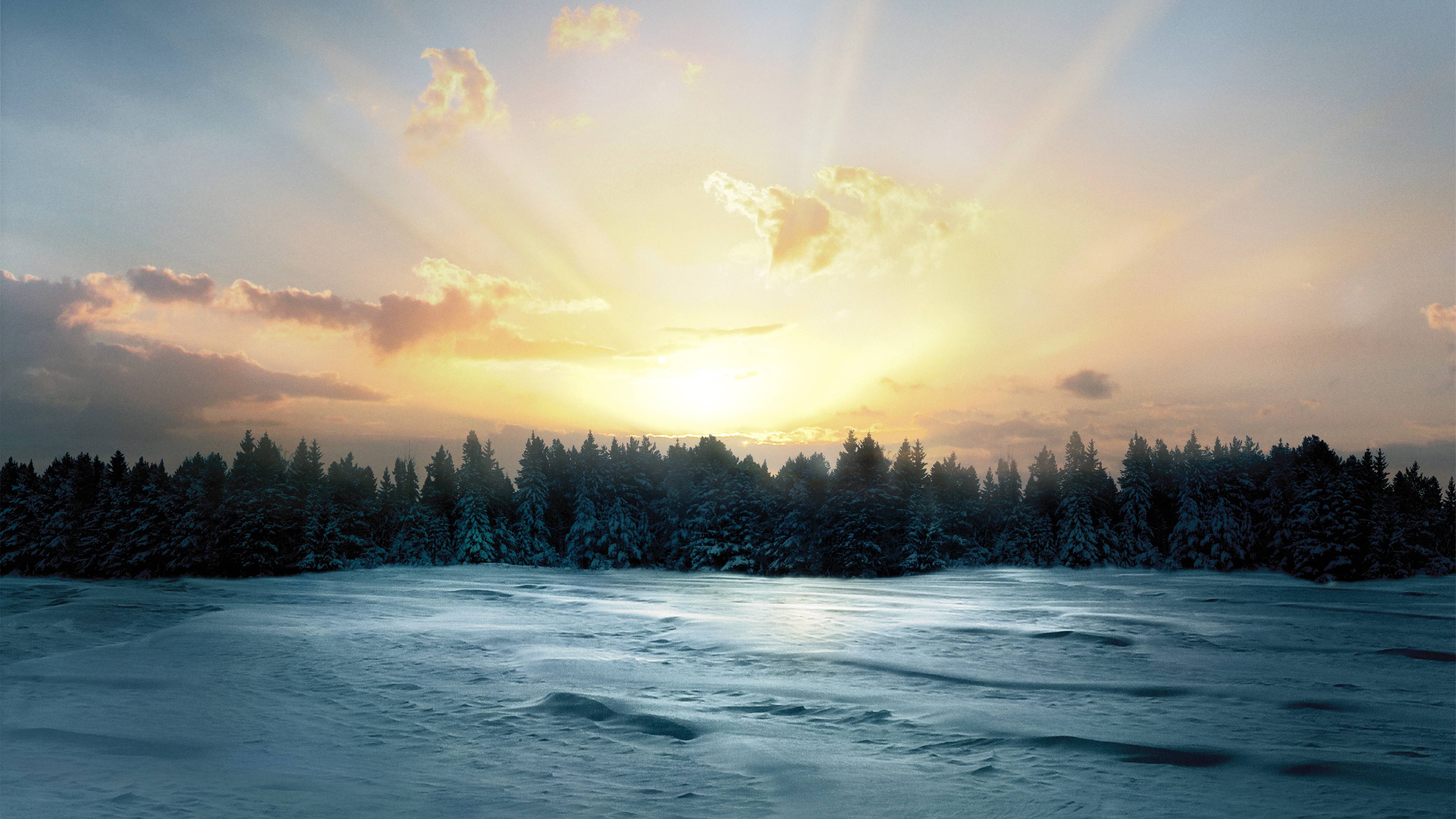 4227x2378 Winter Sunrise Forest 4K Wallpaper