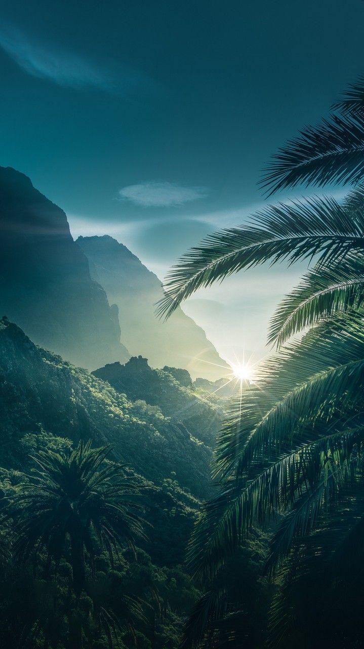 Green Sunrise Wallpapers - Top Free Green Sunrise Backgrounds