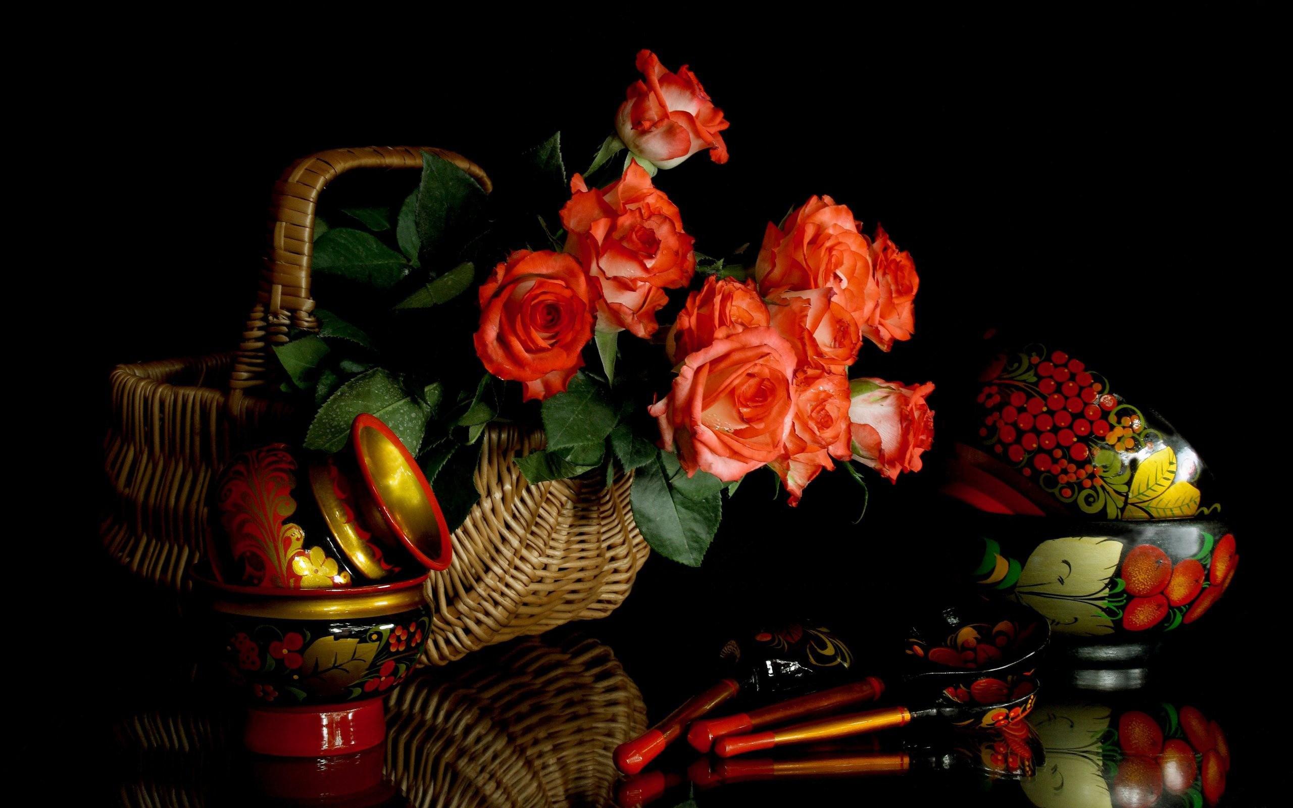 2560x1600 Photography Still Life HD Wallpaper