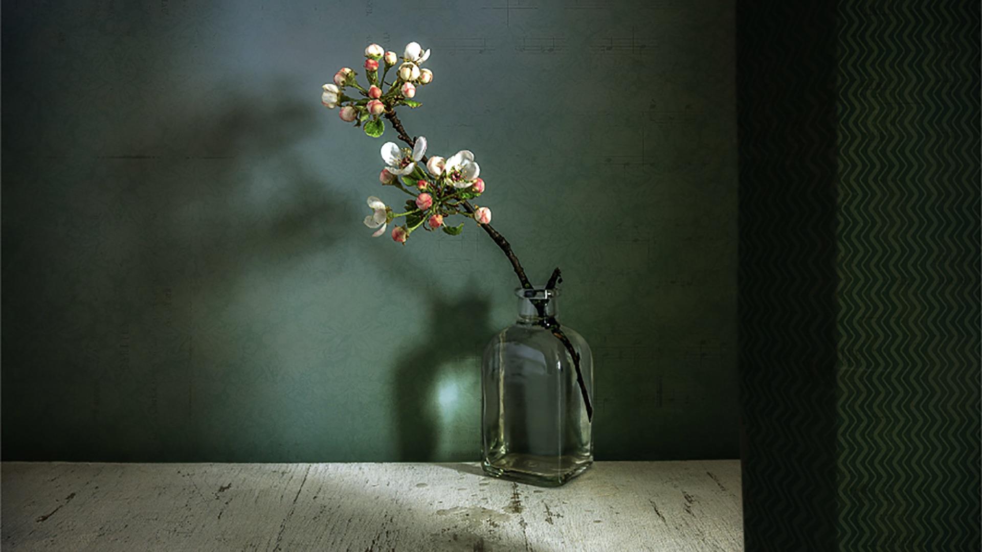 1920x1080 Still life photography: The essential guide for photographers