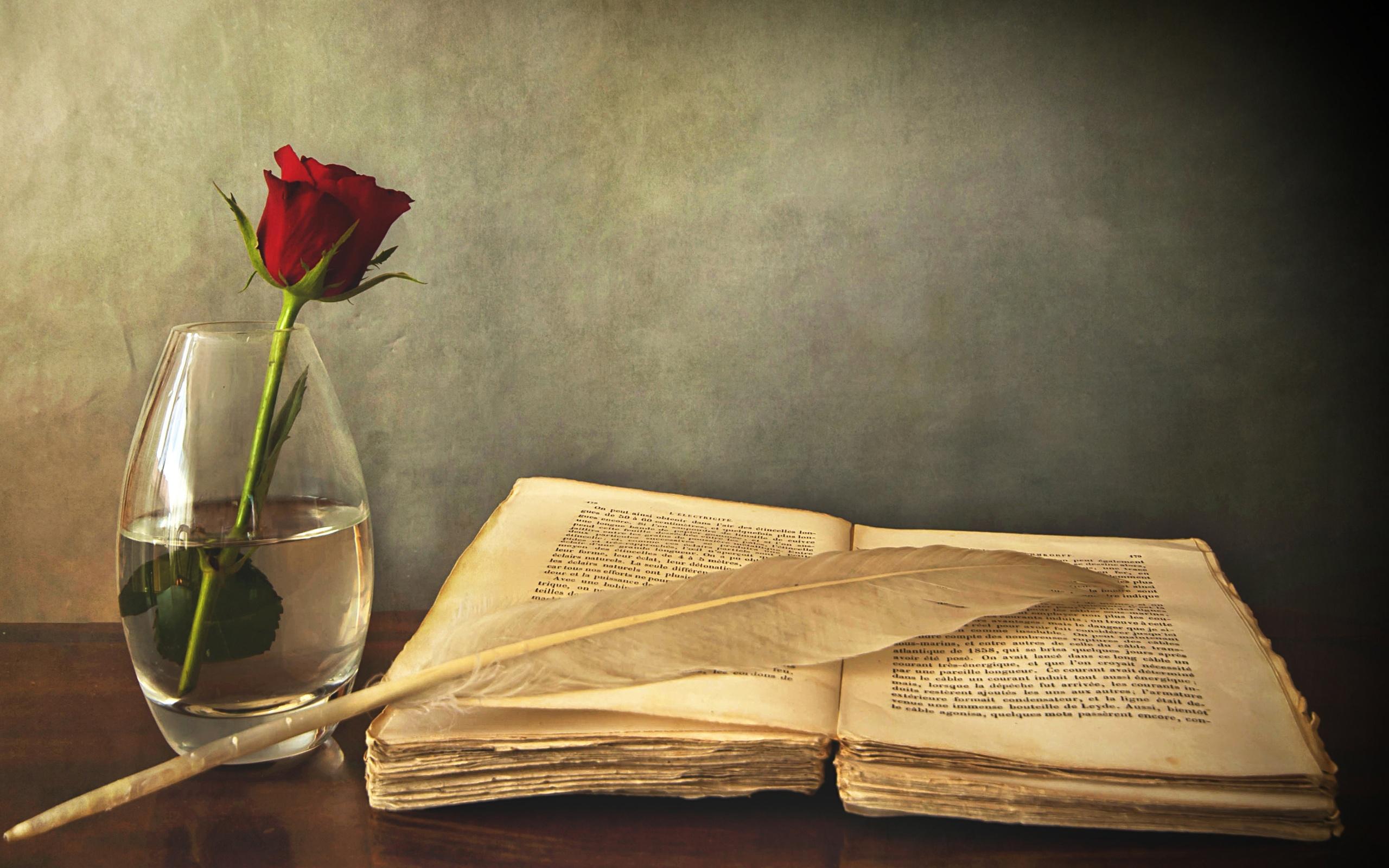 2560x1600 Still Life Wallpaper