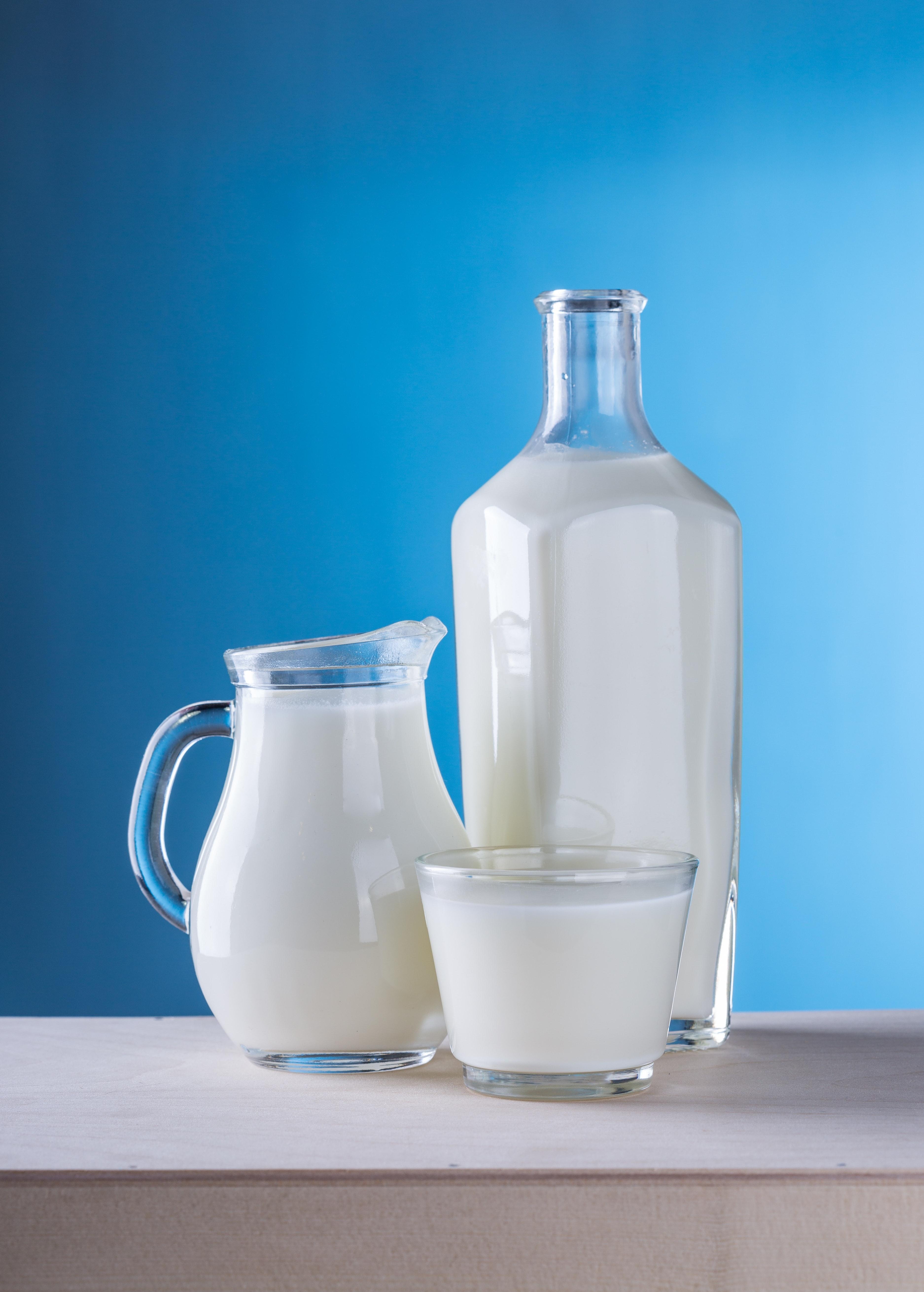 3749x5243 Best Still Life Photo · 100% Free Downloads