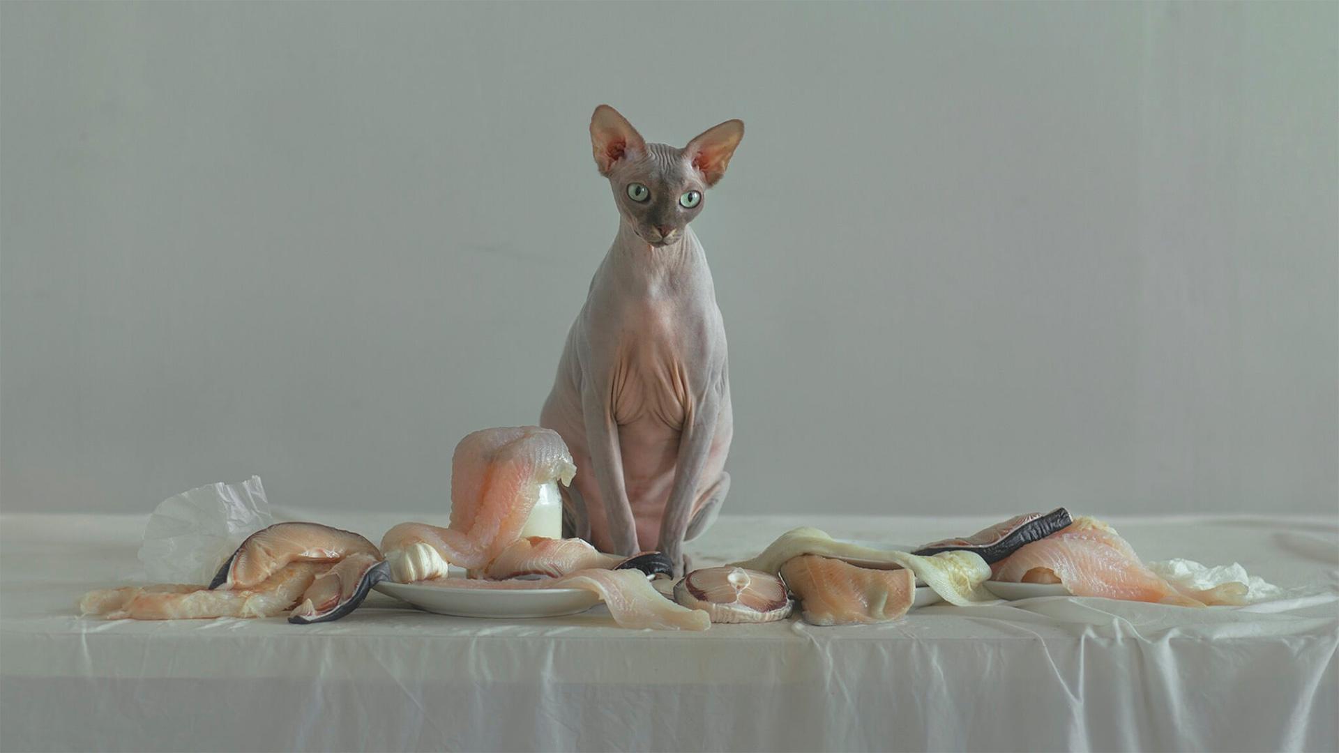 1920x1080 Still life photography: 30 beautiful examples