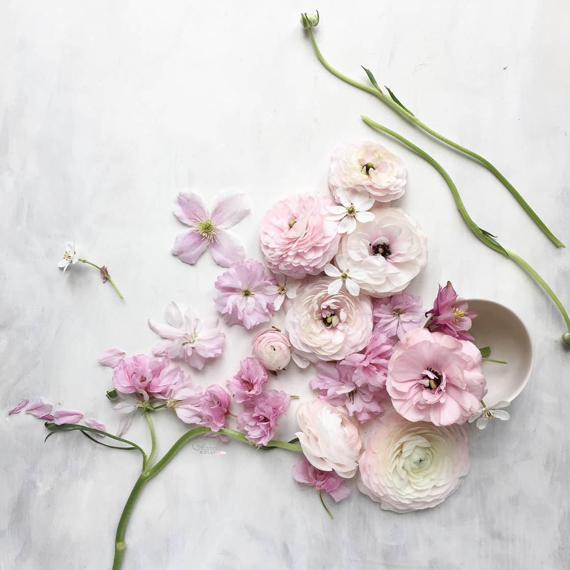 1120x1120 Tips For Beautiful Still Life Photography On iPhone