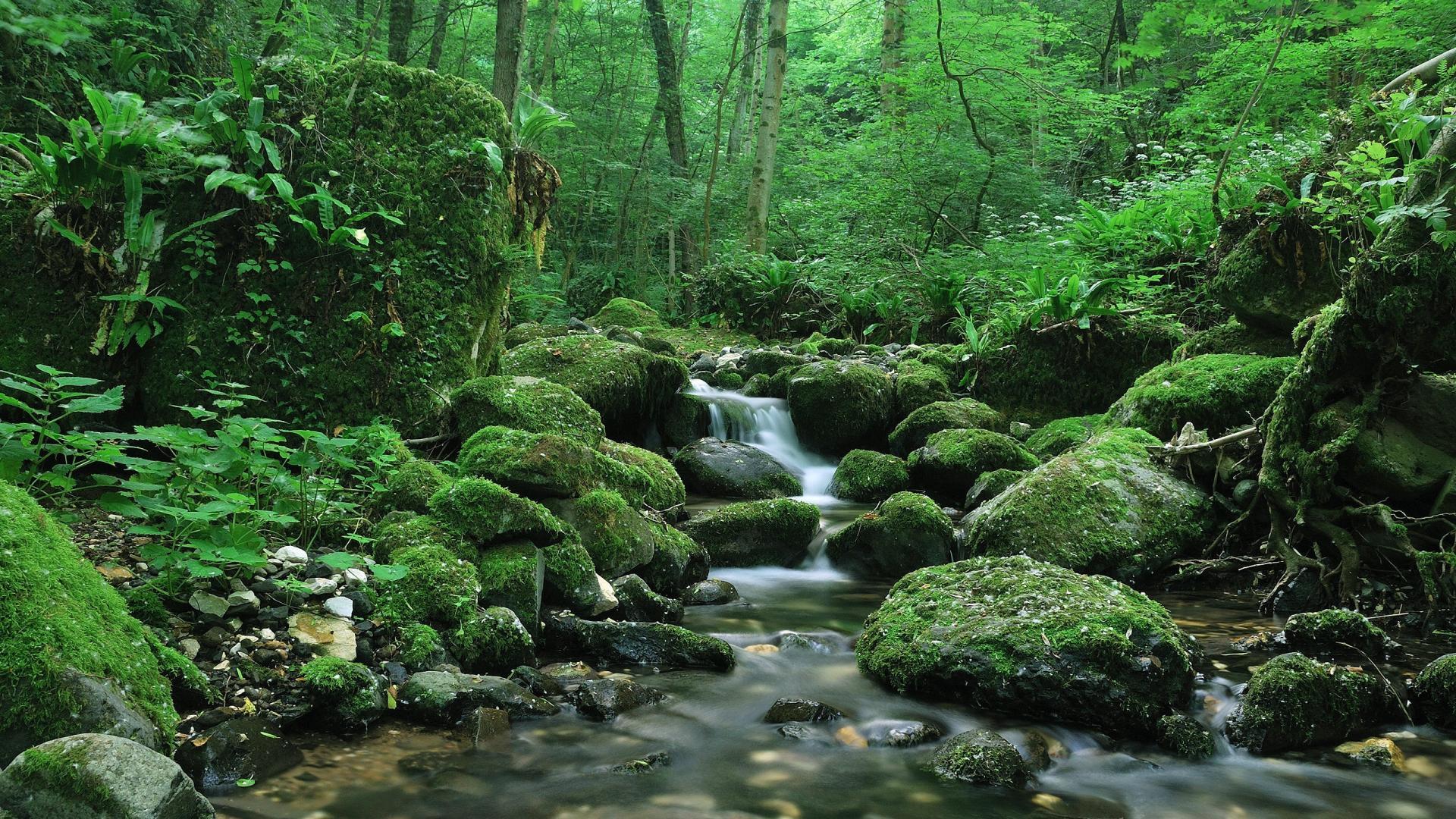 1920x1080 Creek wallpaperx1080