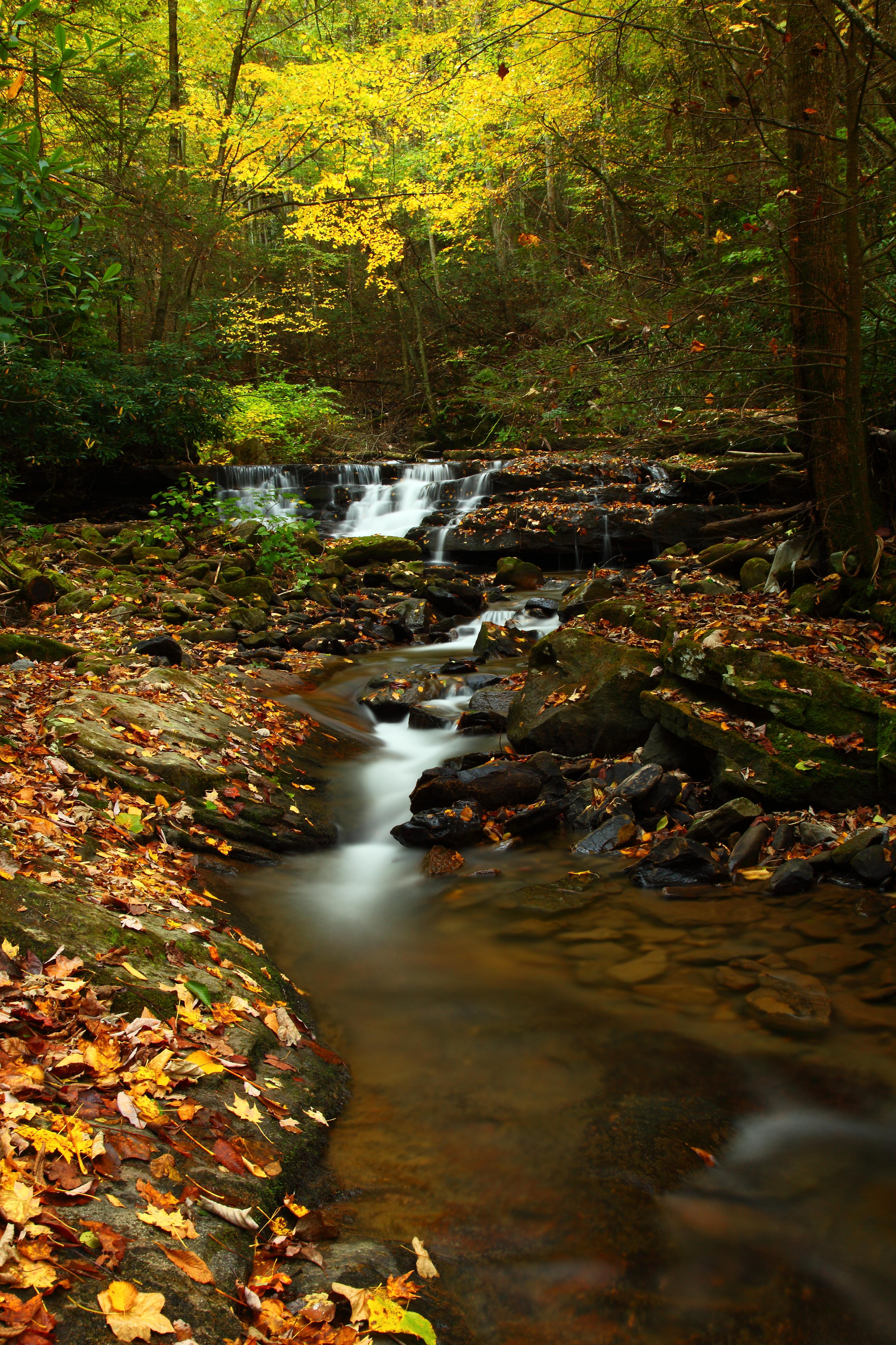 3744x5616 Autumn Creek Waterfalls Fall Foliage Leaves