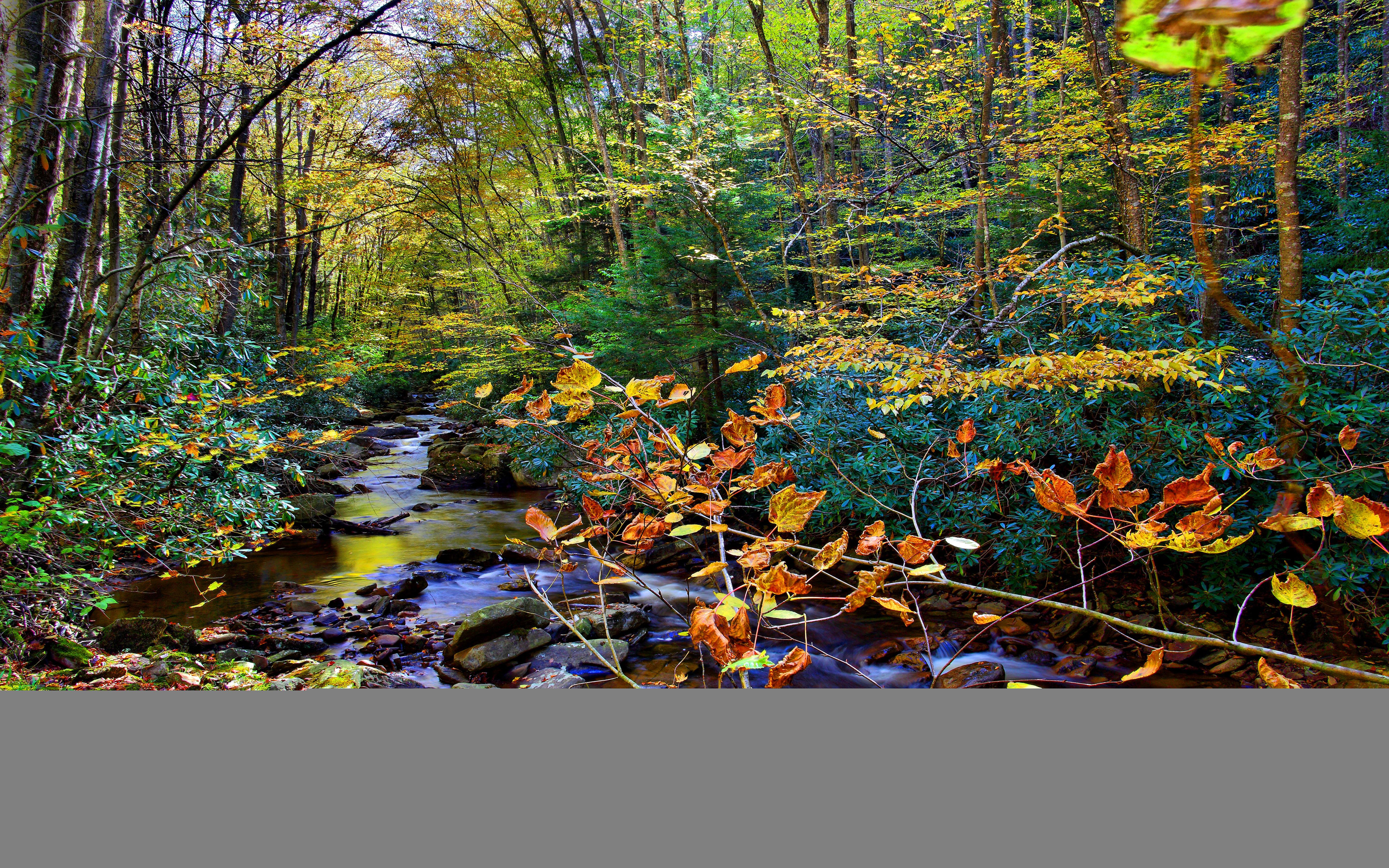5616x3510 Fall Creek Stones Trees In Autumn Color HD Wallpaper :