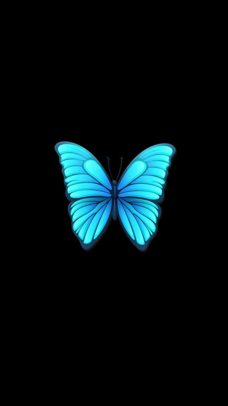 736x1308 Lovely butterfly Black Background. Butterfly wallpaper, Blue butterfly wallpaper, Butterfly wallpaper iphone