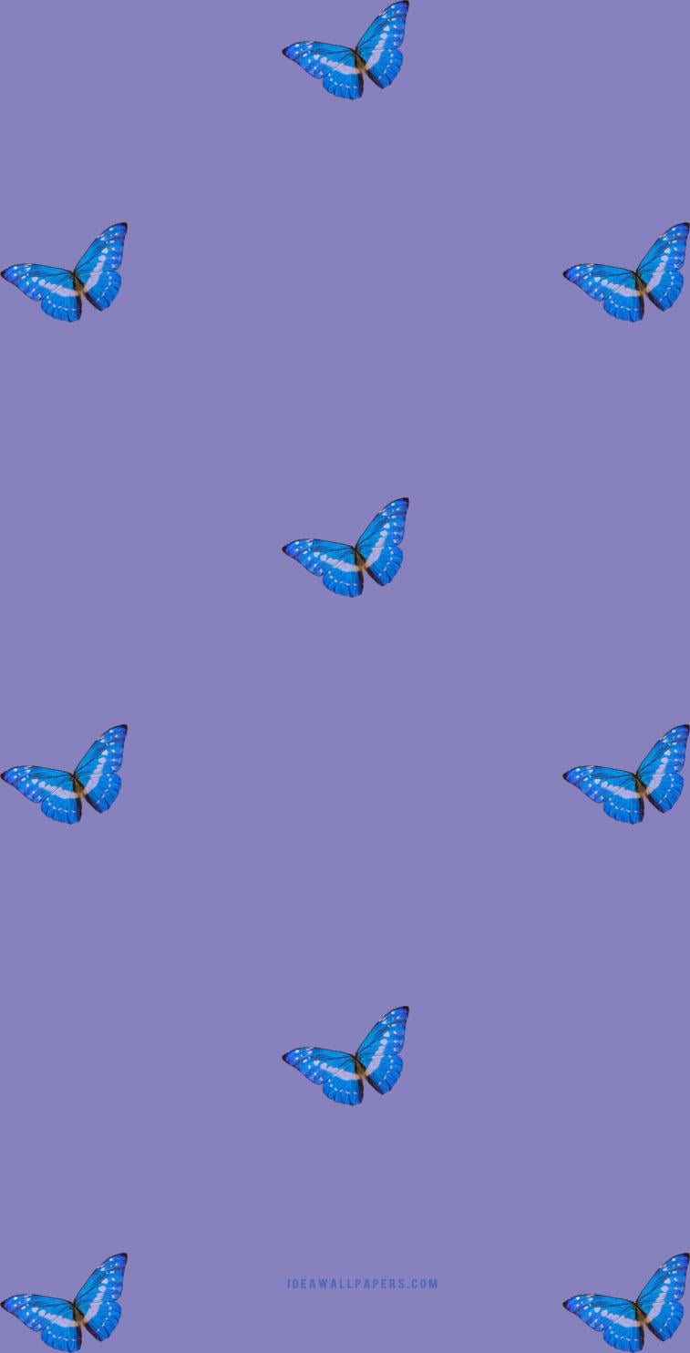 757x1485 Blue butterflies on purple background for phones Wallpaper