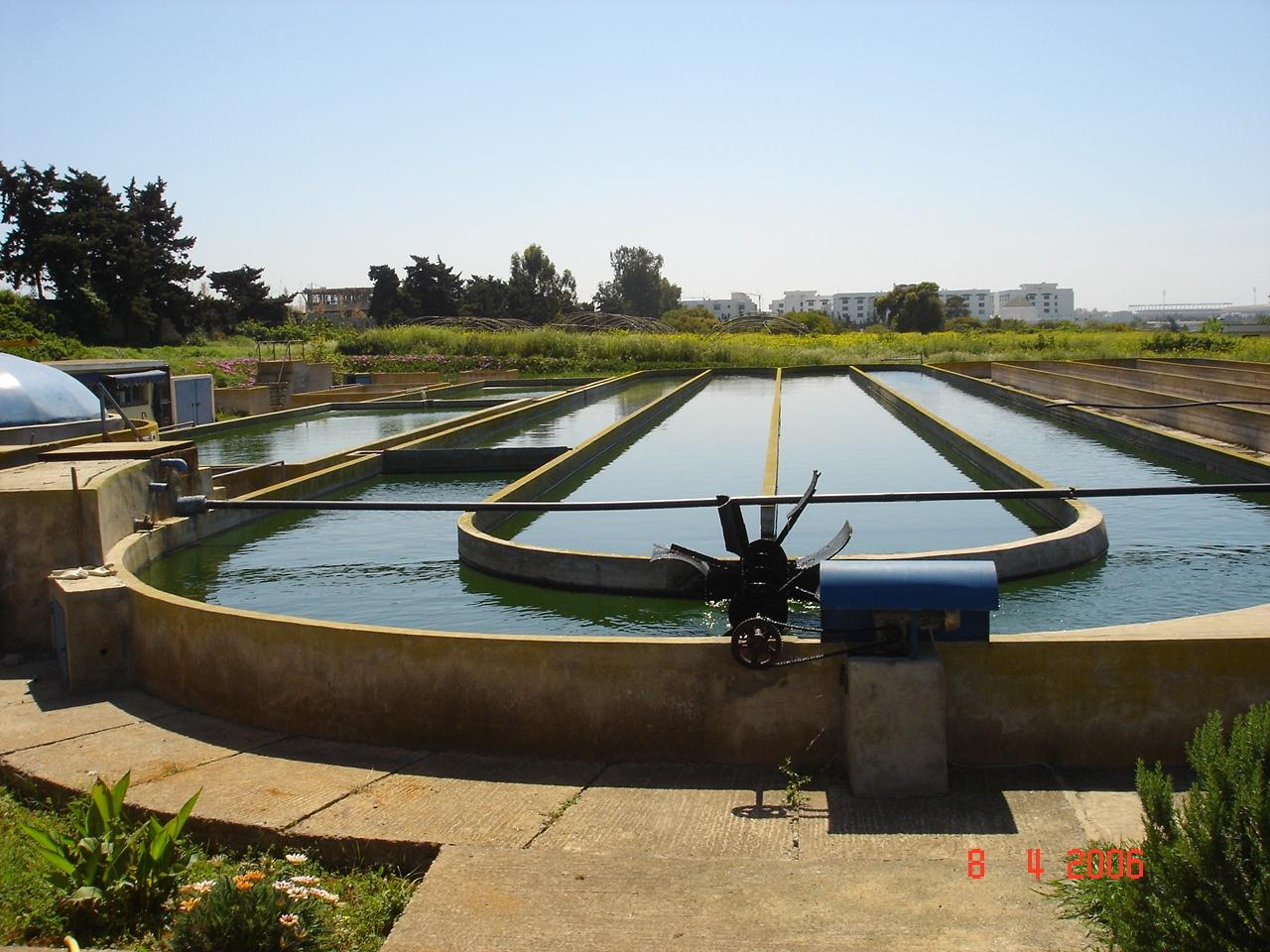 1280x960 Microalgae and Wastewater Treatment