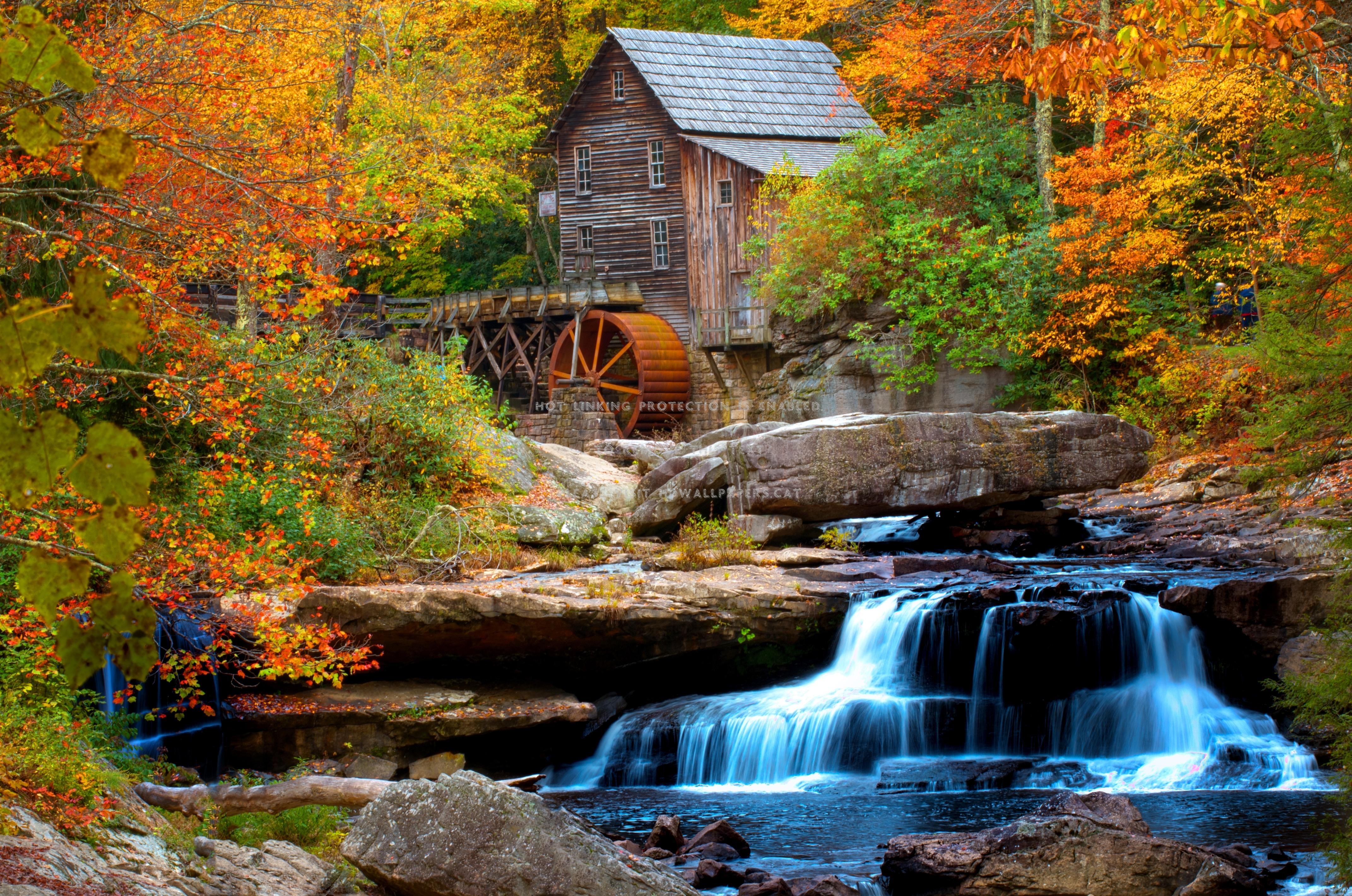 4285x2840 forest mill stream fall creek leaves autumn