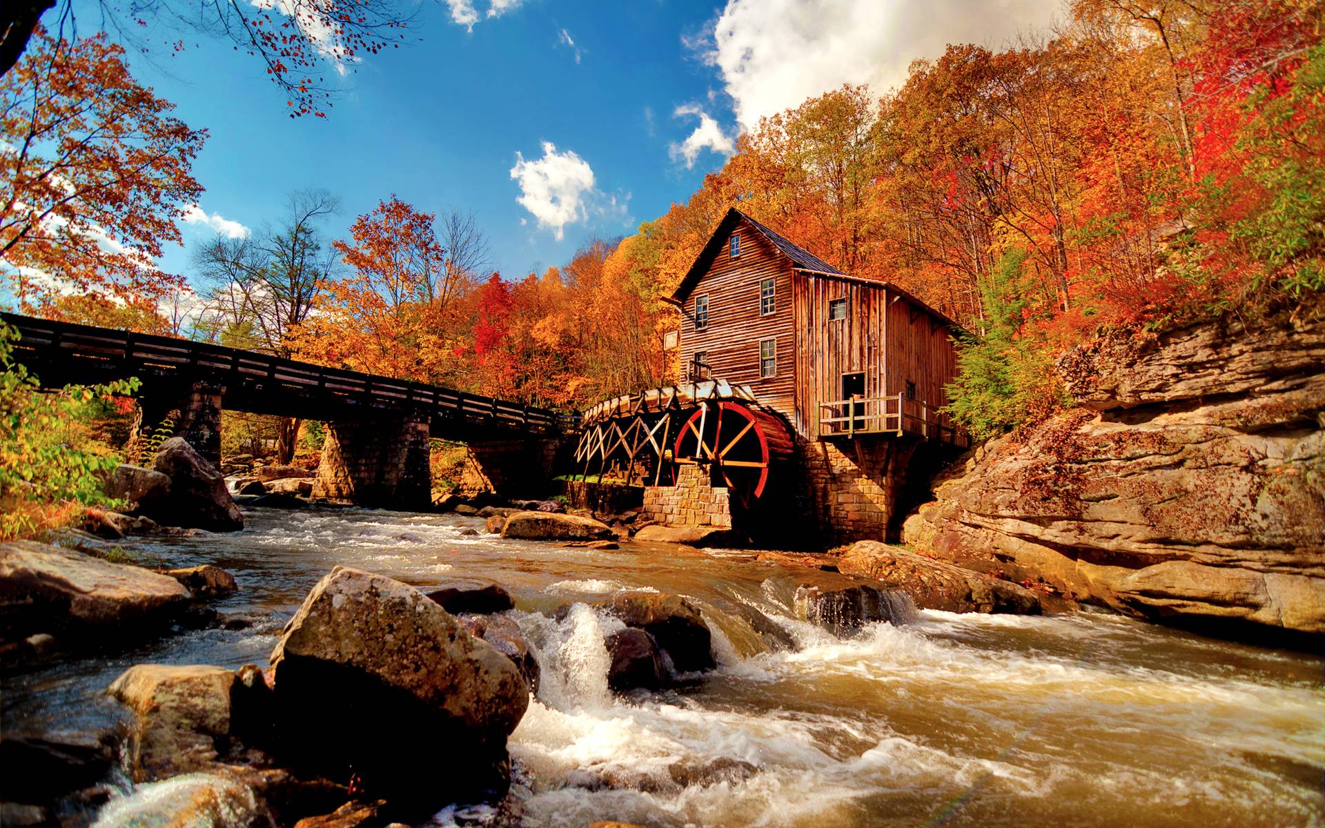 1920x1200 Free download Fall Foliage Wallpaper For Desktop [1920x1200] for your Desktop, Mobile & Tablet. Explore Fall Colors Desktop Wallpaper. Foliage Wallpaper, Autumn Colors Desktop Wallpaper, Free Desktop Wallpaper Fall Colors
