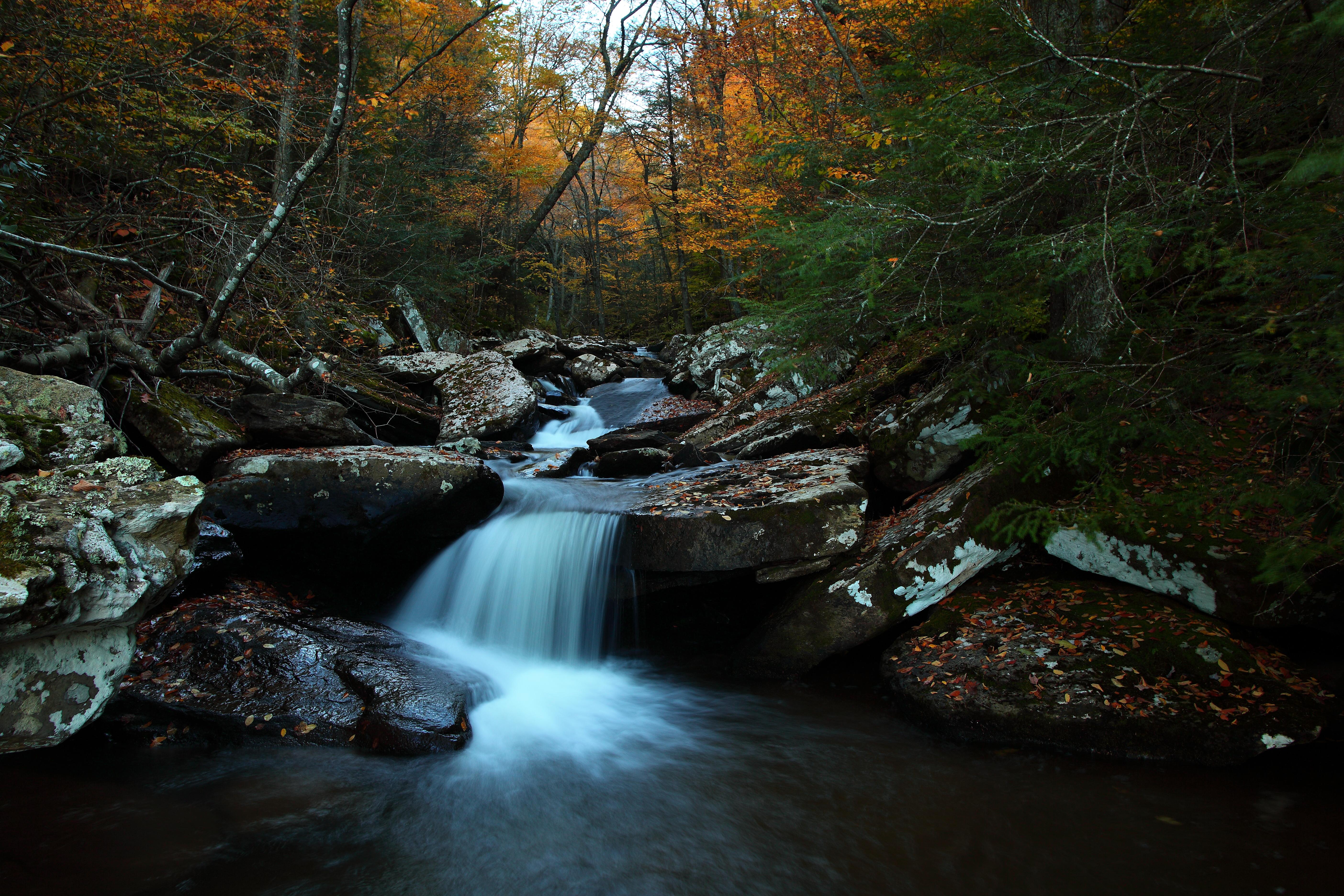 5616x3744 Forest Autumn Creek Waterfalls Trees Foliage Rocks