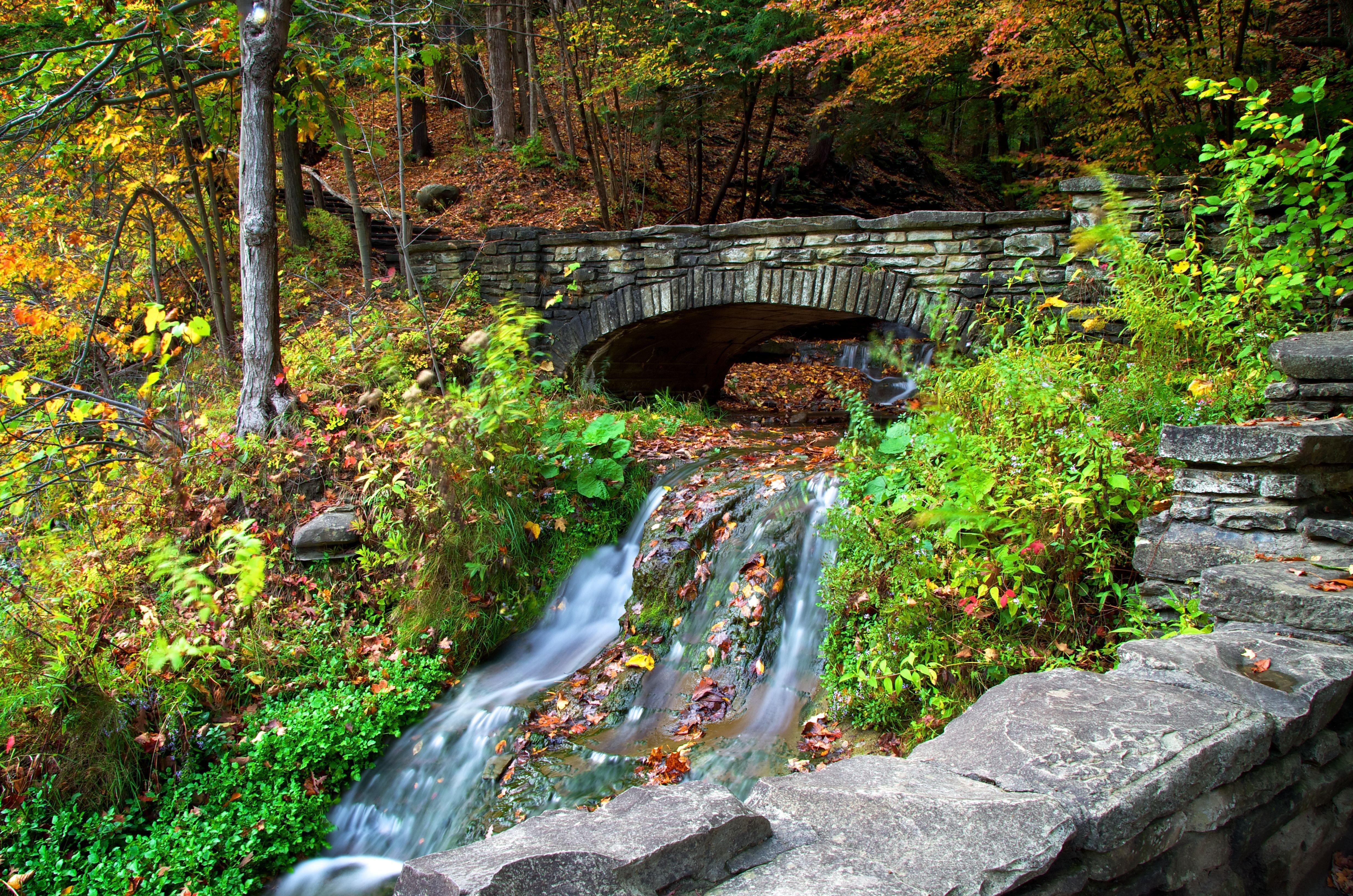 4928x3264 autumn, Forest, Trees, River, Creek, Bridge, Nature Wallpaper HD / Desktop and Mobile Background