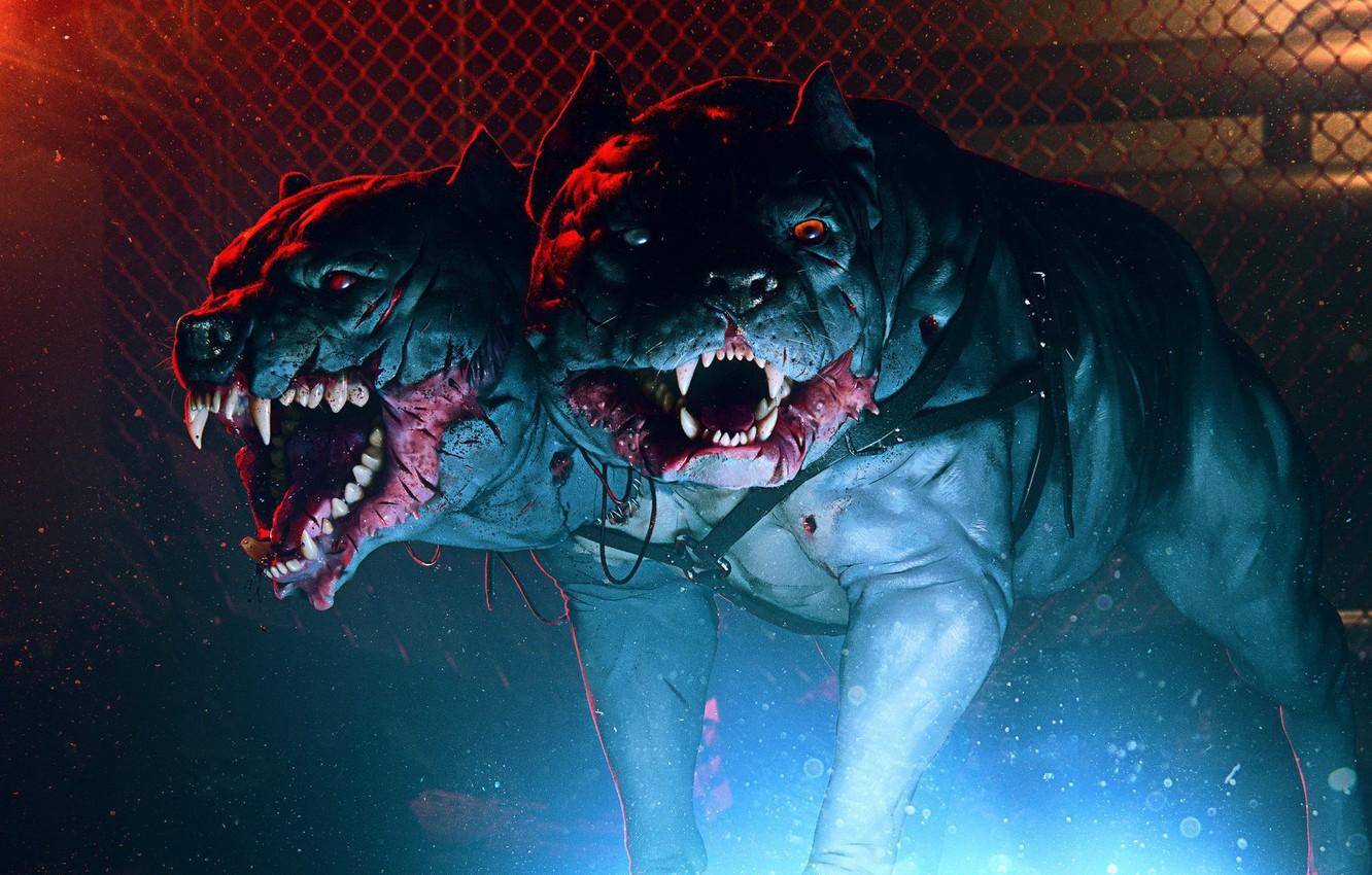 1332x850 Wallpaper face, mouth, fangs, grin, dog, dog, Cerberus, cerberus, hound image for desktop, section рендеринг