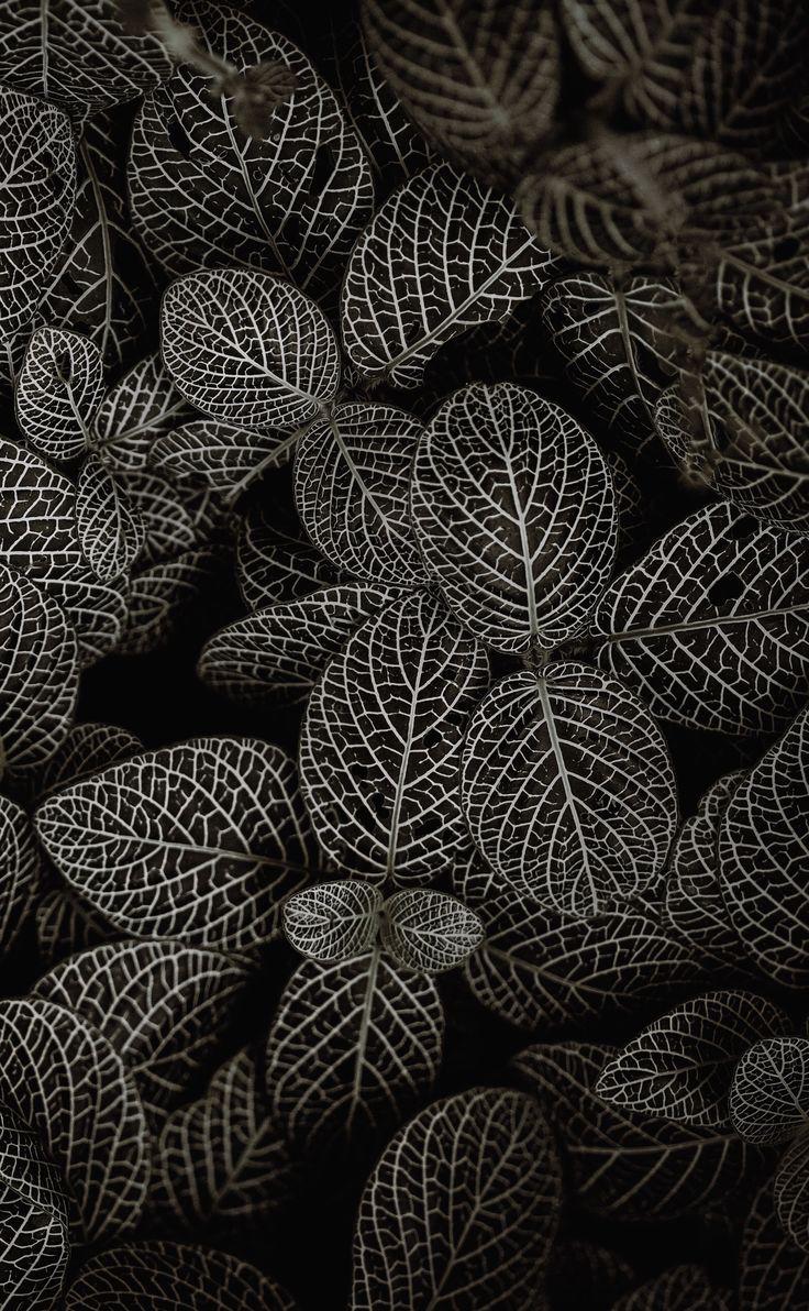 736x1192 Wallpaper dark. Wallpaper decor, Wall sticker, Wallpaper stickers