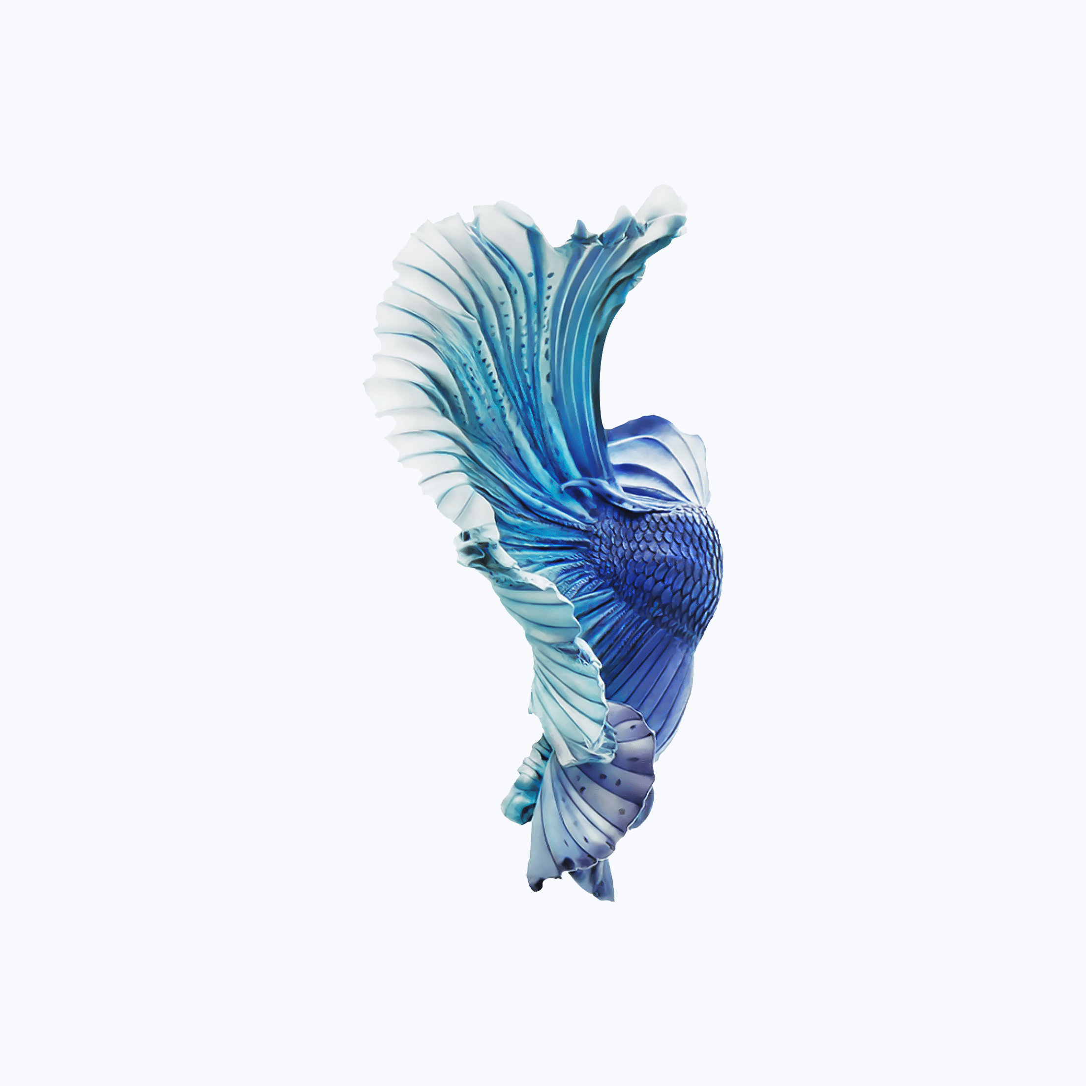 2208x2208 Free download iPhone 6s Silver Blue Fish Wallpaper [2208x2208] for your Desktop, Mobile & Tablet. Explore iPhone 6s Wallpaper. Free Wallpaper for iPhone iPhone 6s Wallpaper HD, iPhone 6 Plus Wallpaper