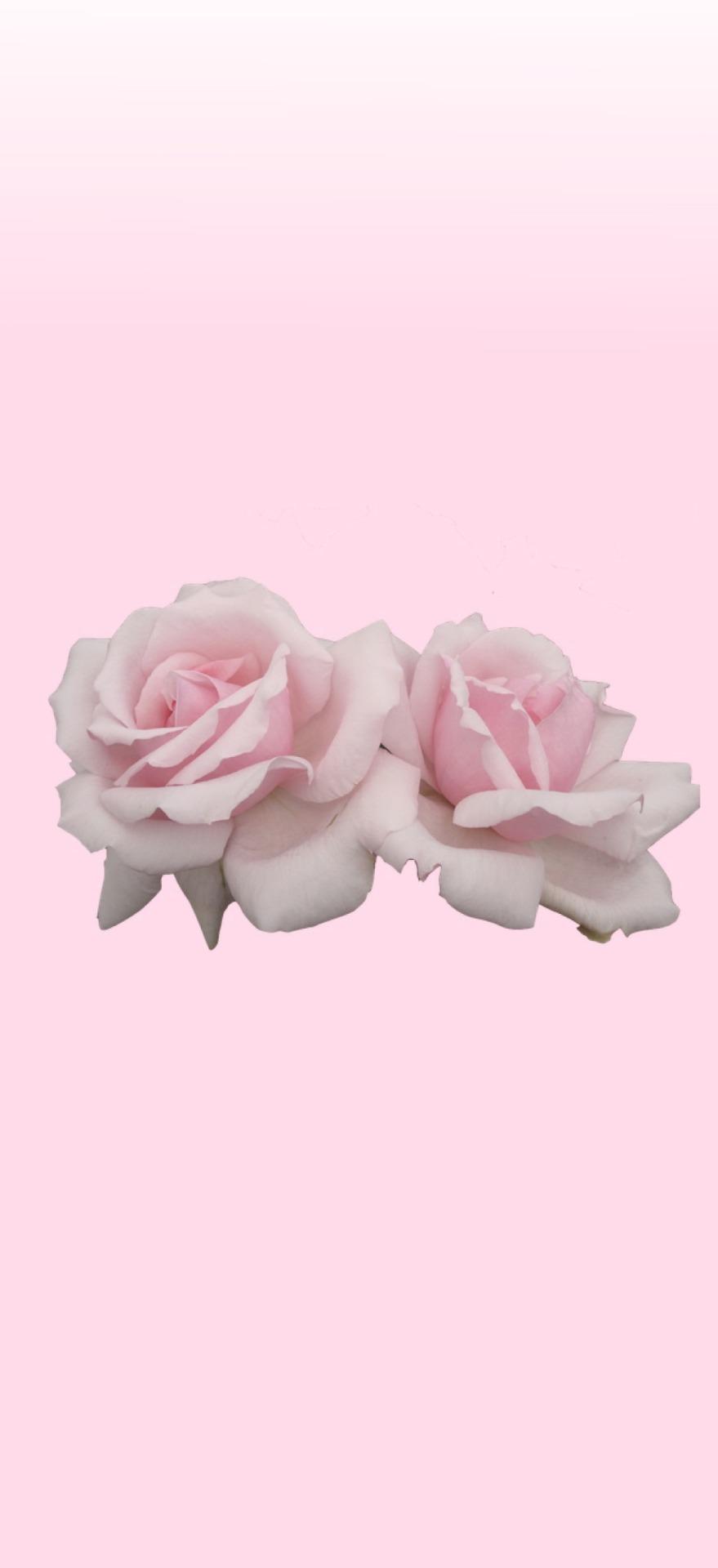 879x1920 pastellocksceens, a blog on Tumblr. Never miss a post from pastellocksceens Make gifs, find your community. Only in the app. Get the app No thanks 1.5M ratings 277k ratings See, that's what the app is perfect for. Sounds perfect Wahhhh, I don't wanna